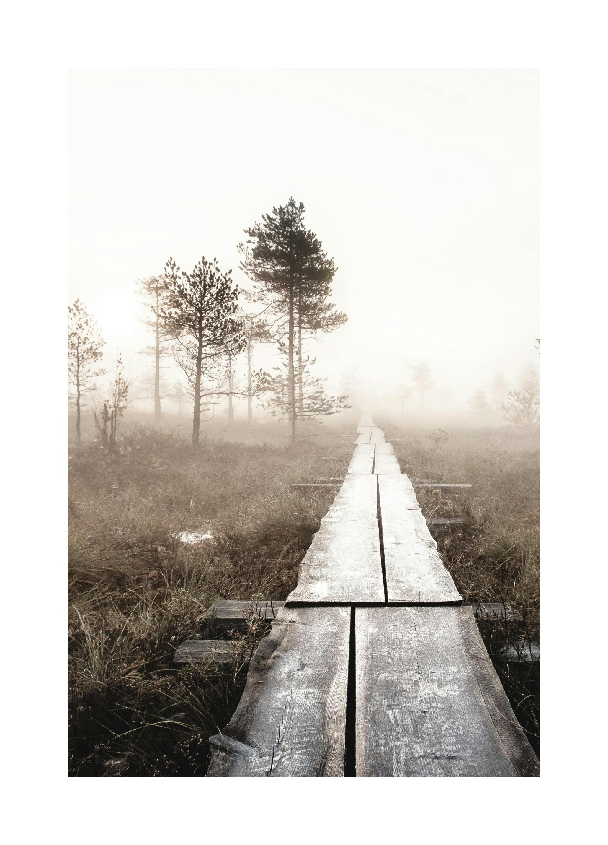 Vandringsled Poster (50x70 cm) - Poster Store