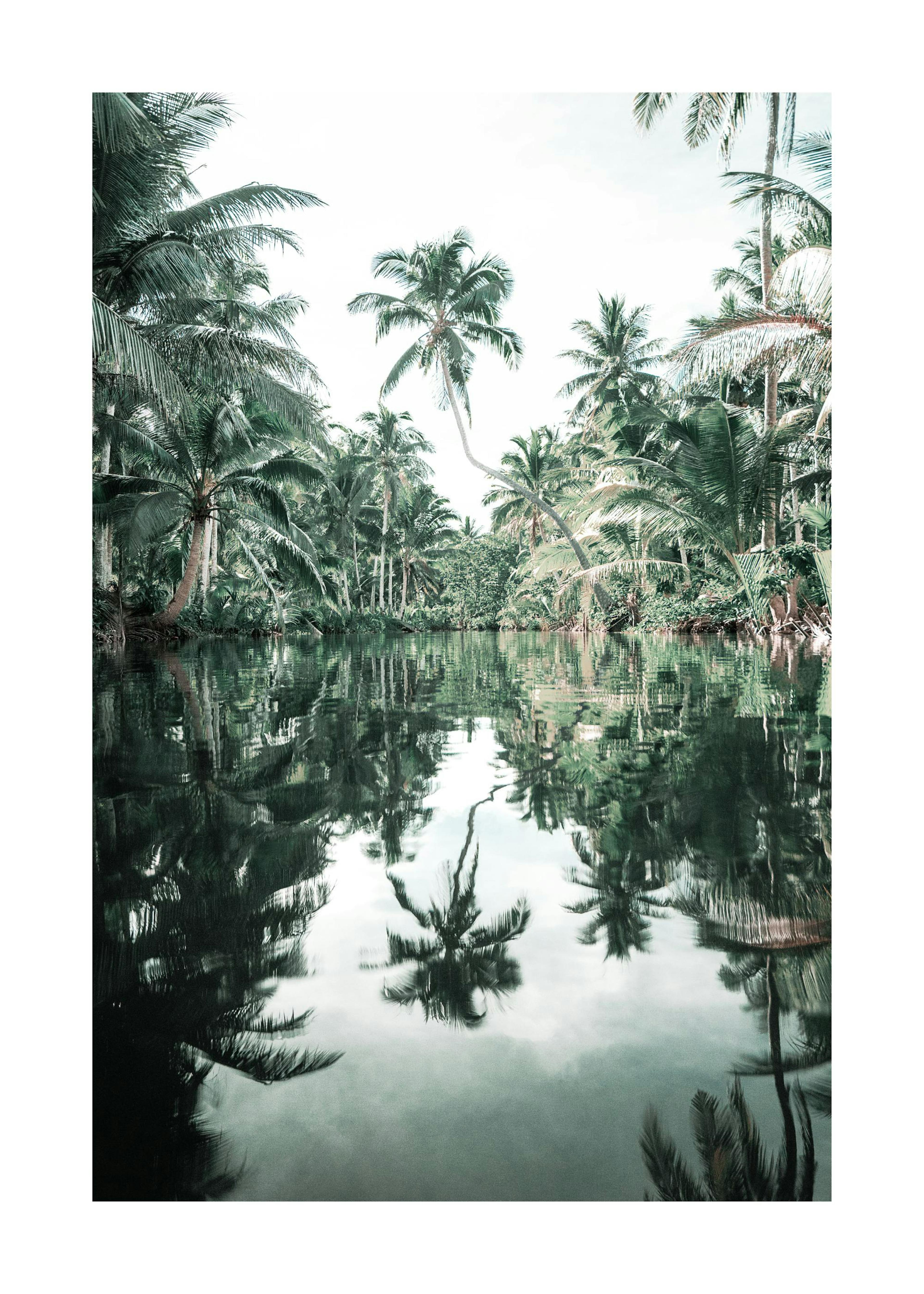 Palm Reflection Poster 0
