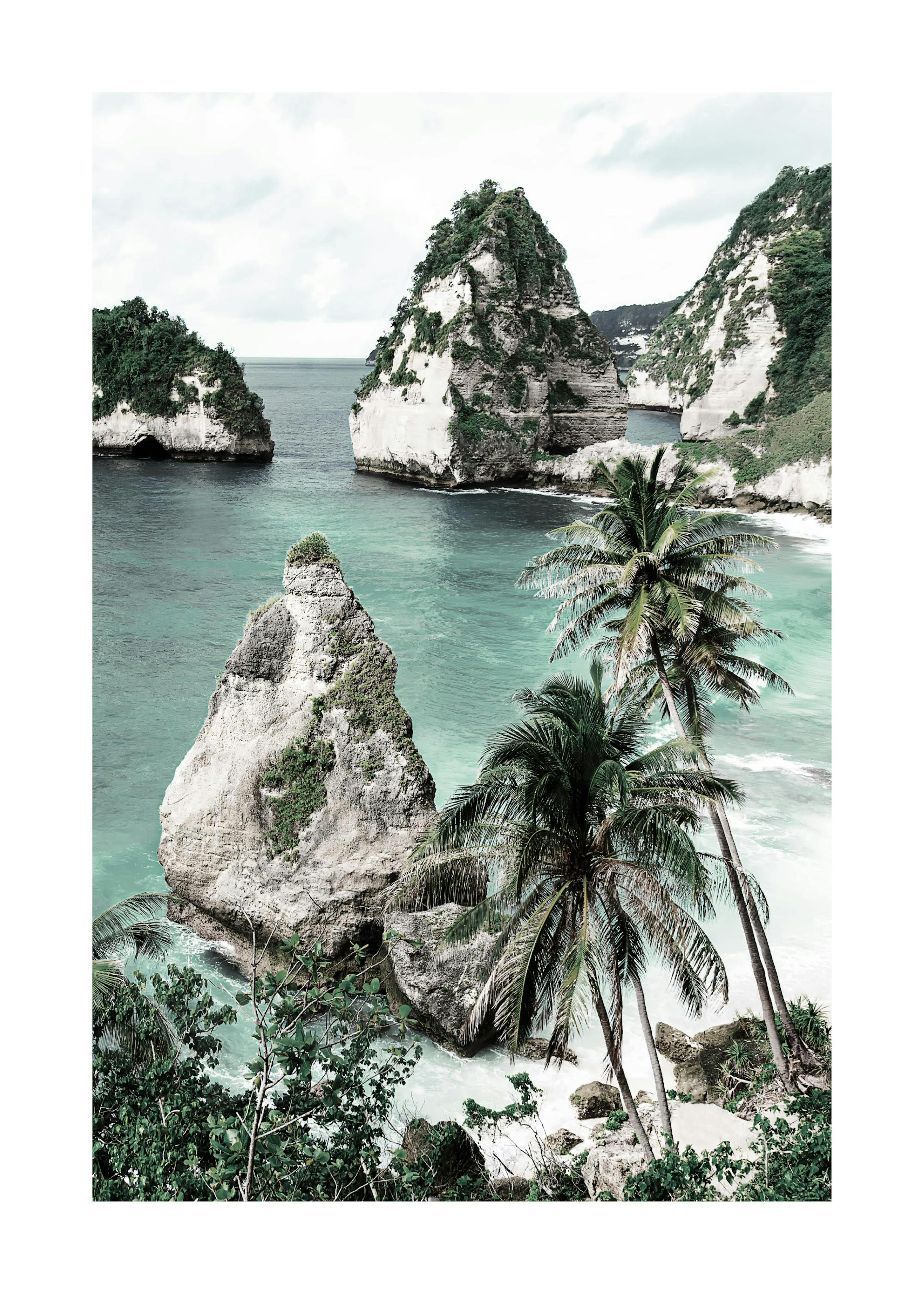 Bali Beach Poster 0