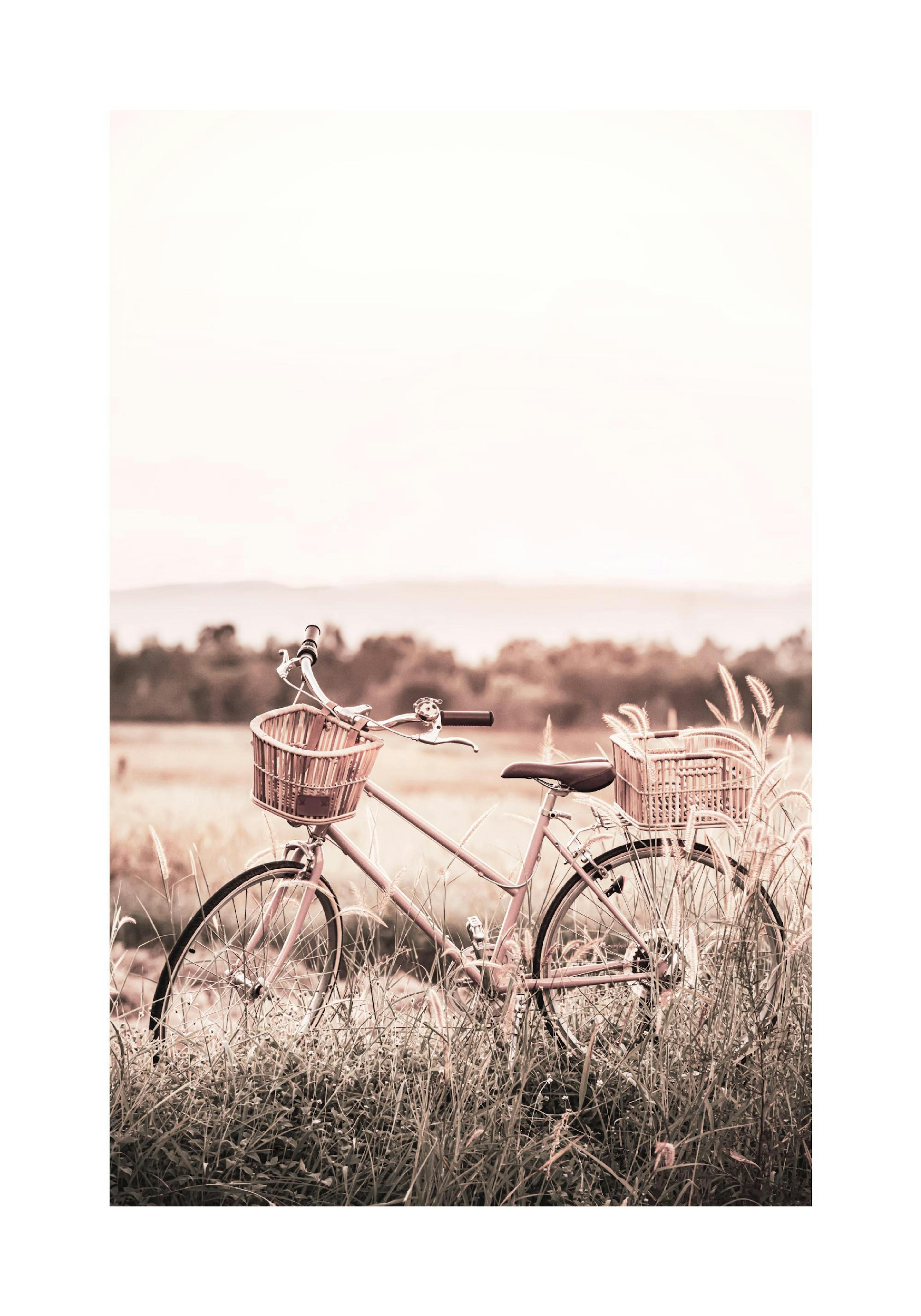 Bicicletta in Piedi Poster thumbnail