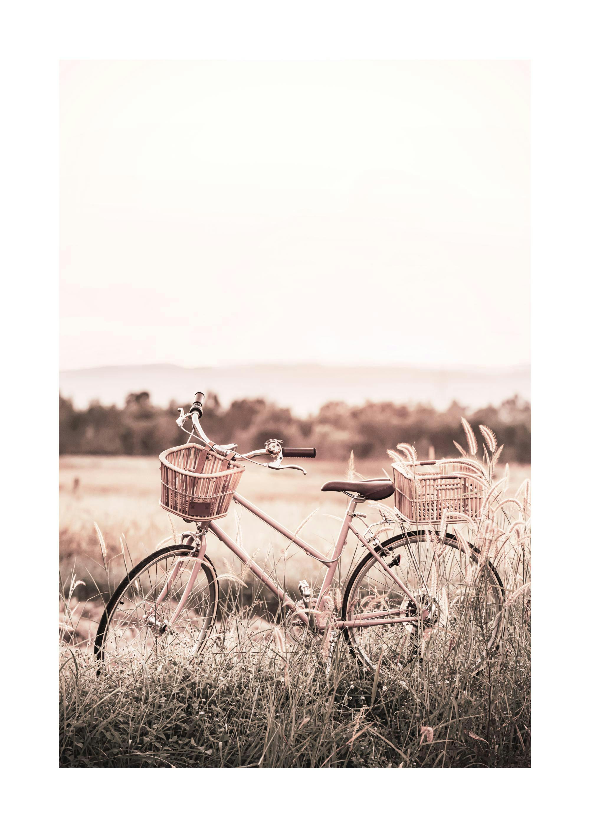 Bici parqueada Póster 0
