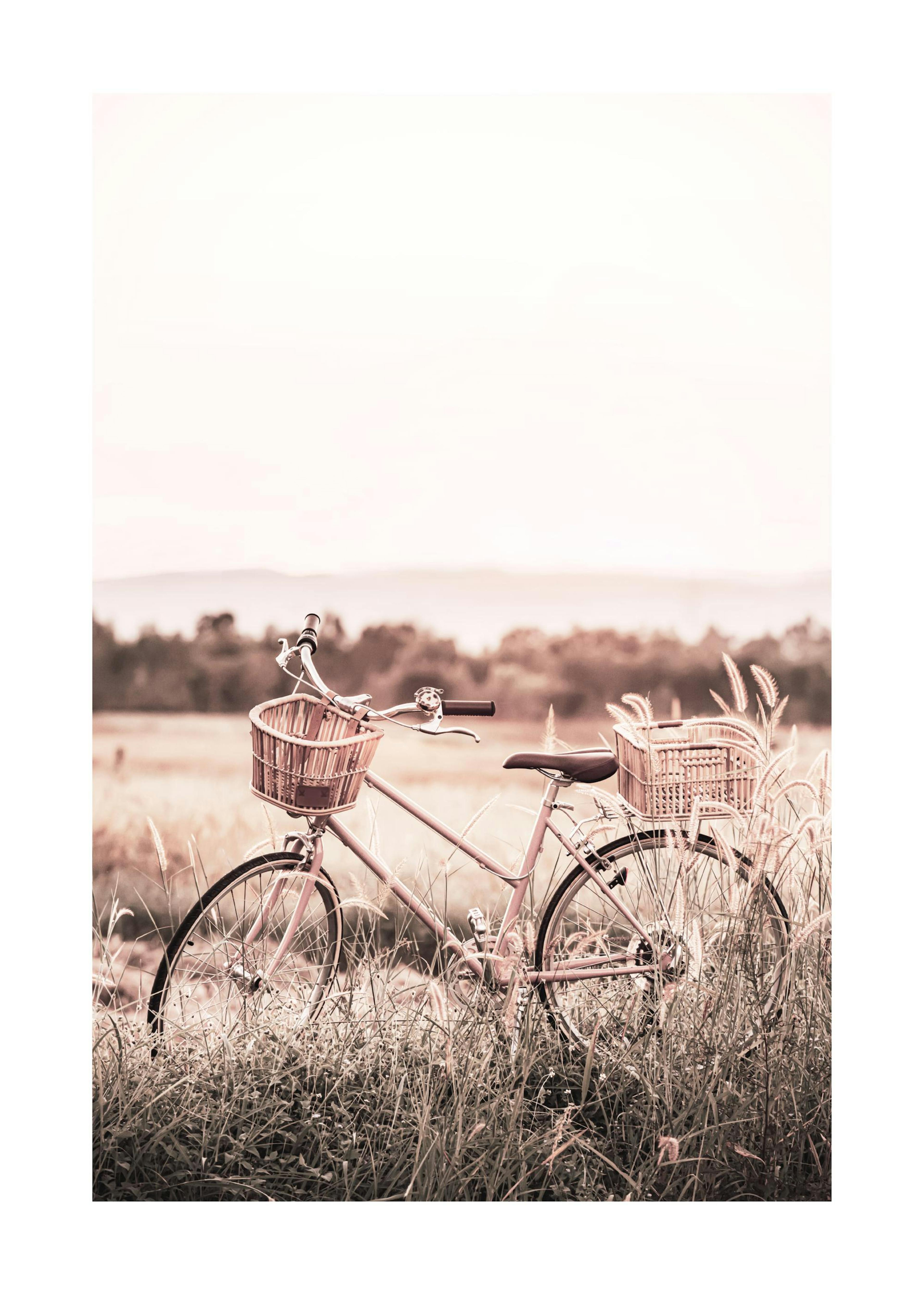 Bicicletta in Piedi Poster 0