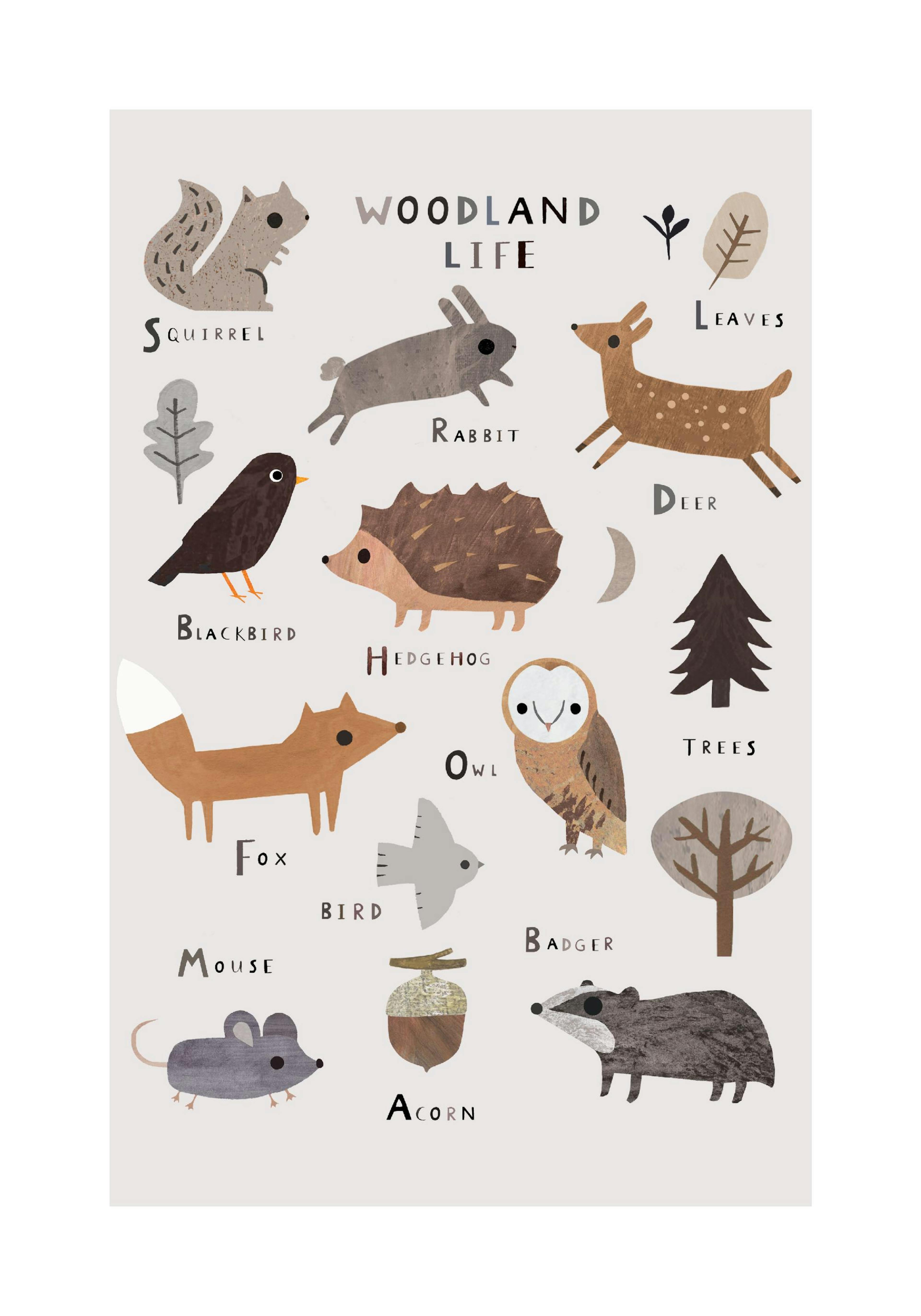 Woodland Life Poster thumbnail