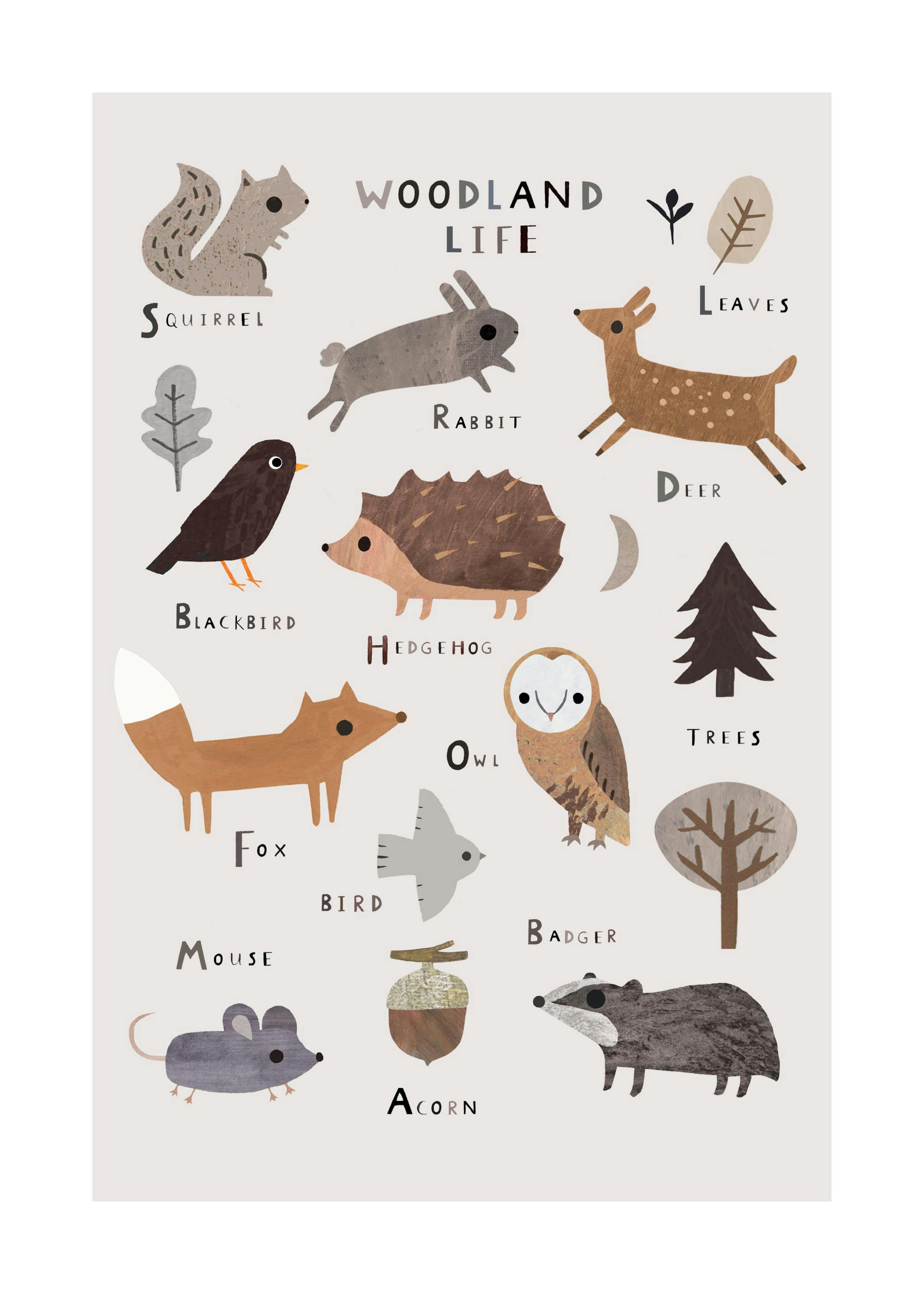 Leven in het bos Poster 0