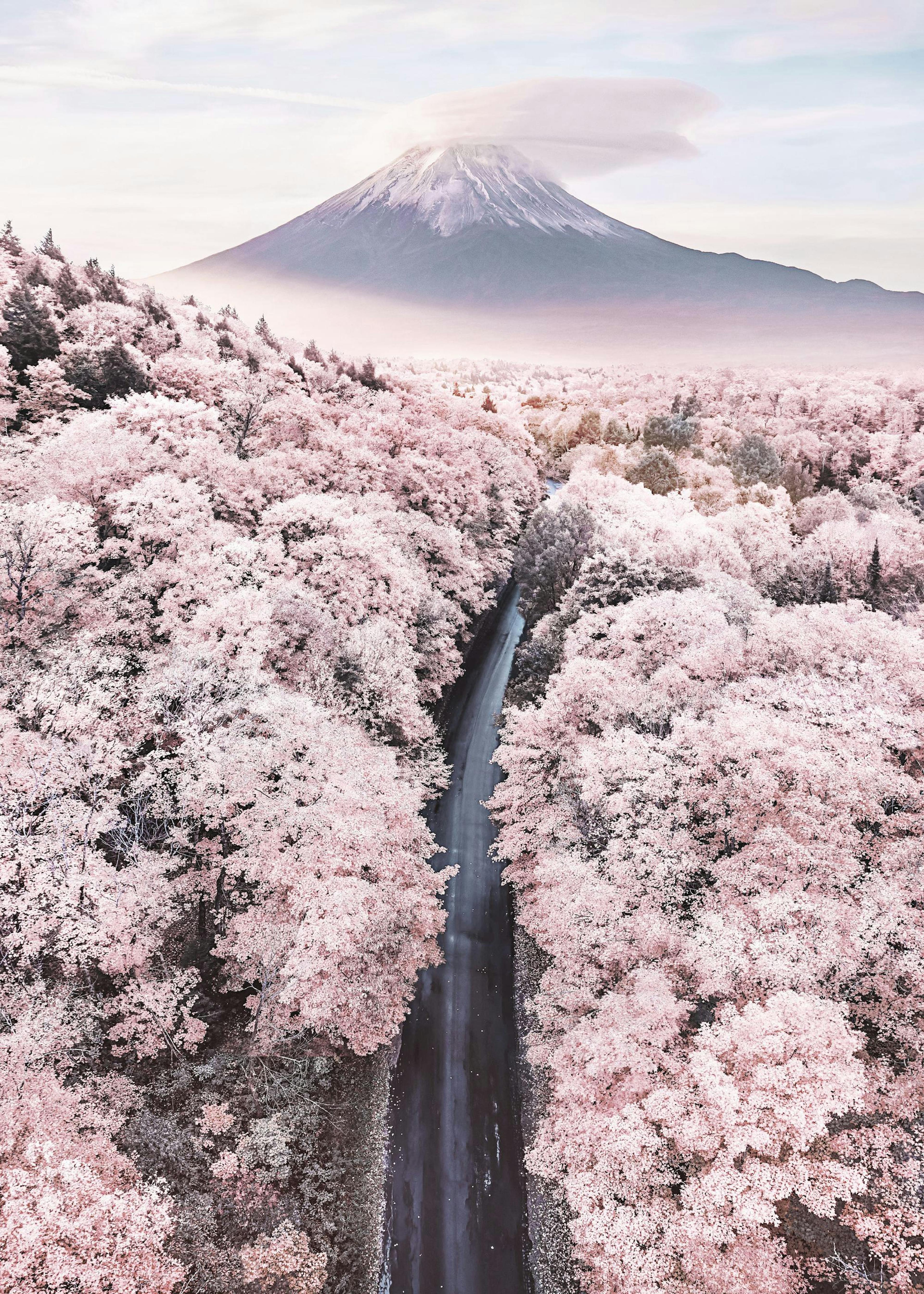Endless Pink Poster 0