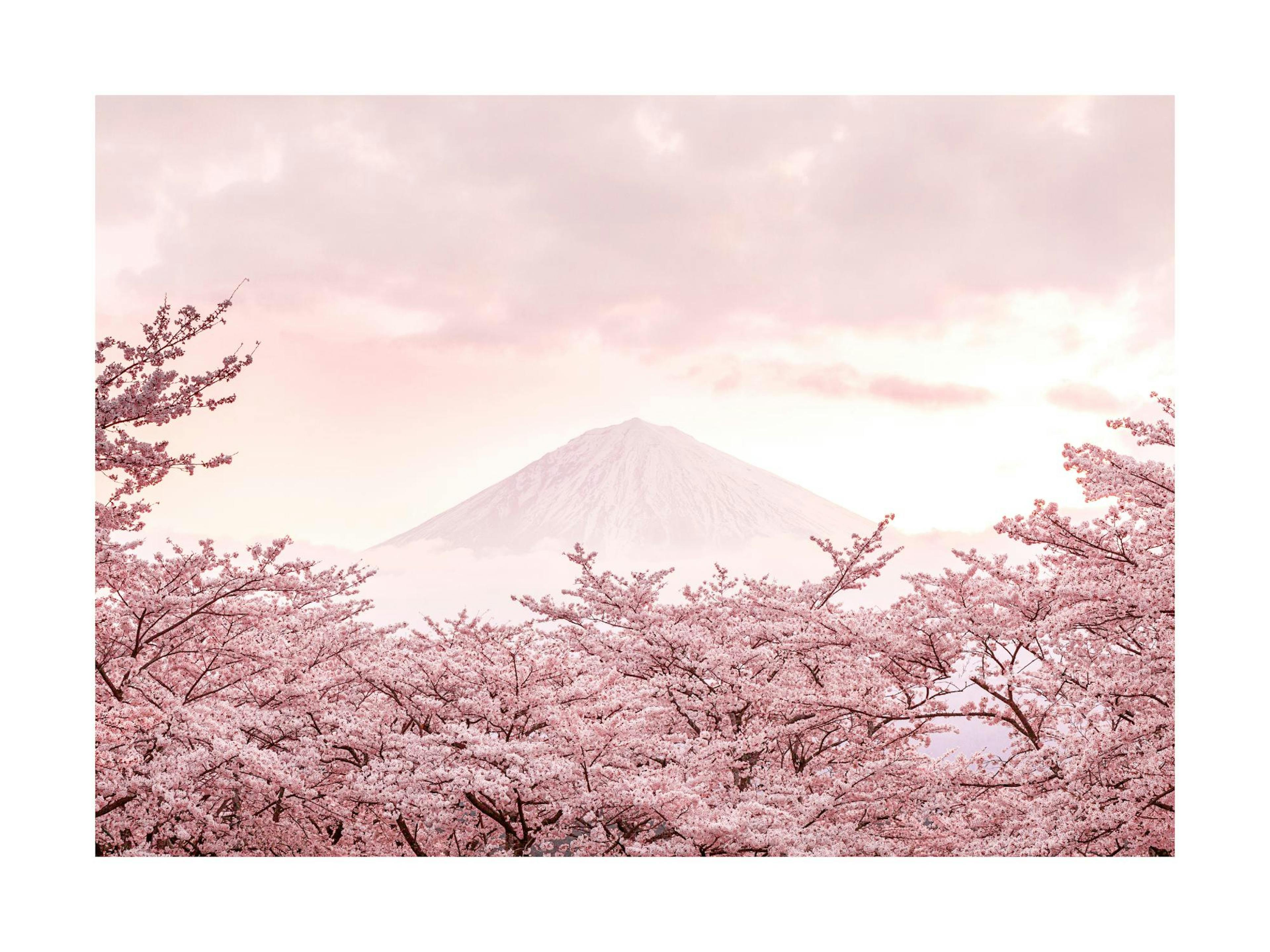Pink Mount Fuji Poster thumbnail