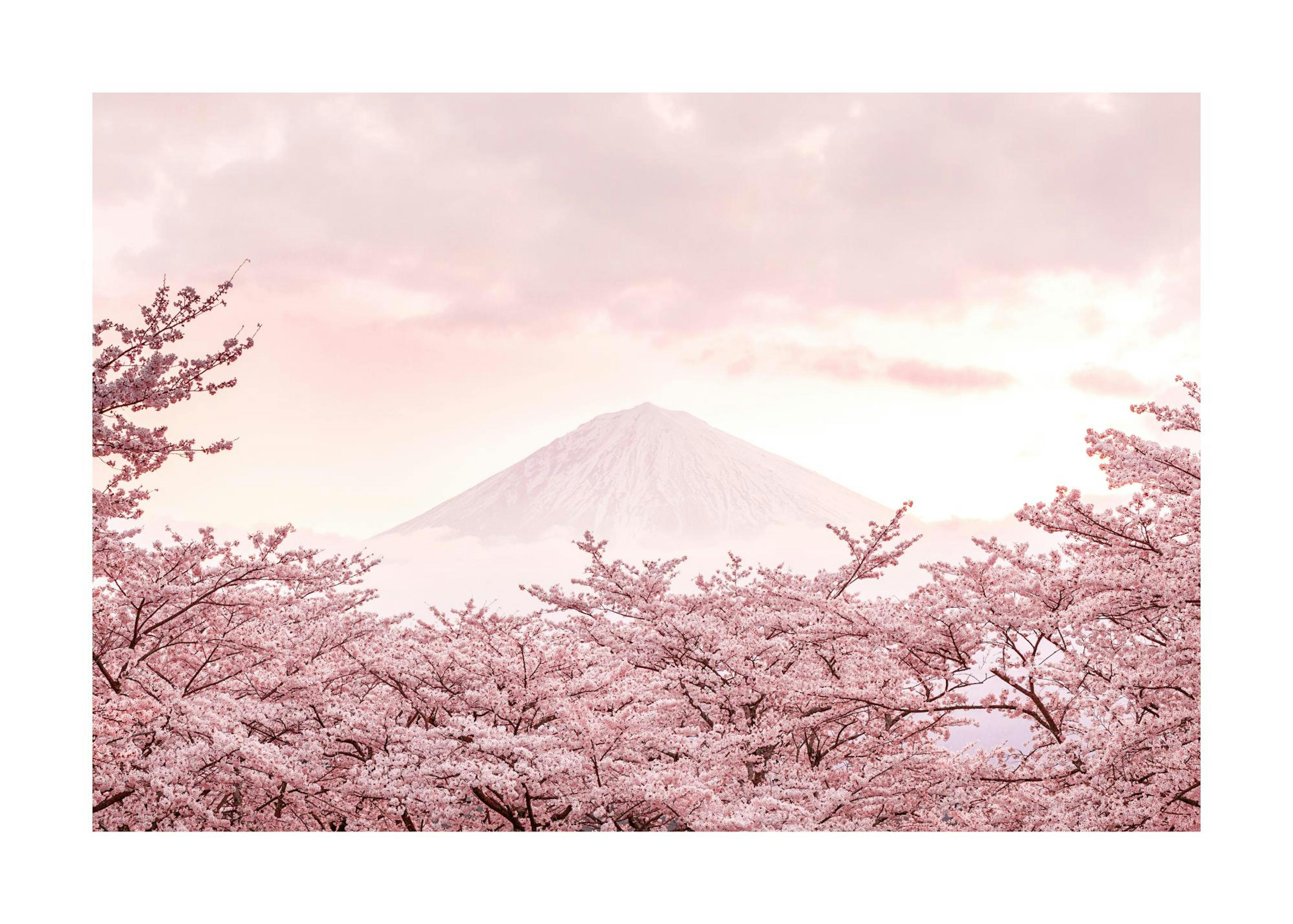 Roze berg Fuji-poster 0