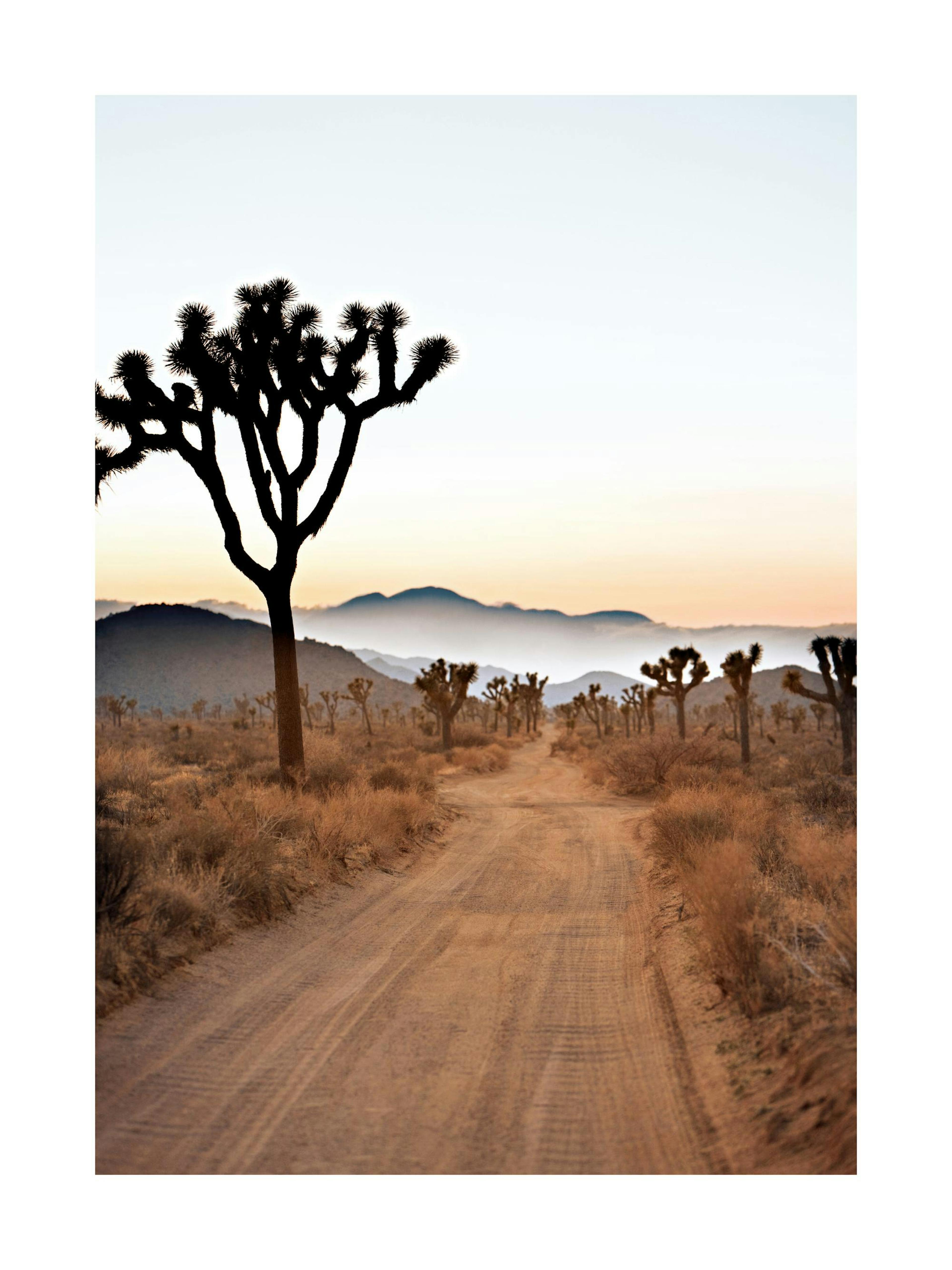 Driving to the Desert Poster thumbnail