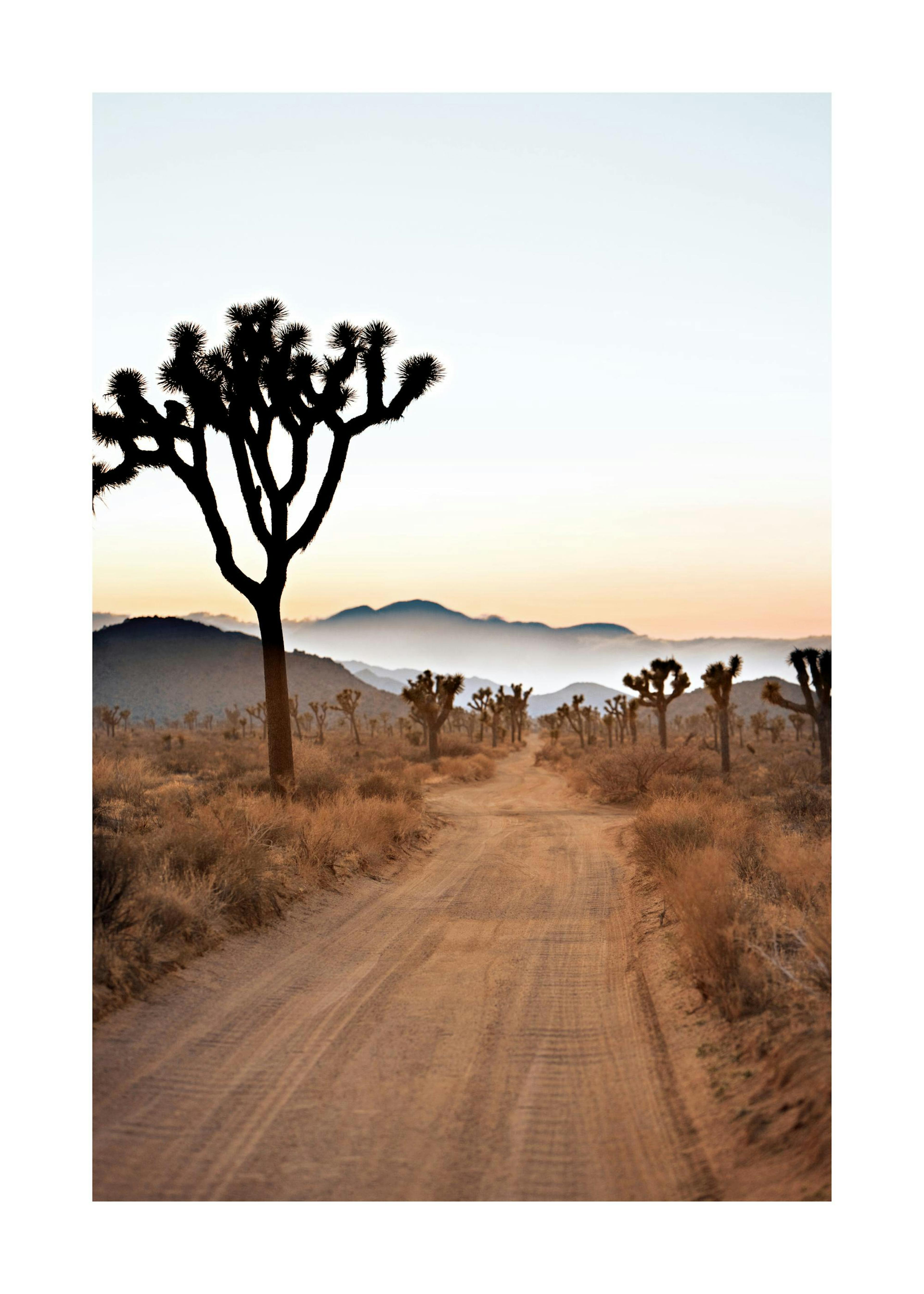 Conduciendo al Desierto Póster 0