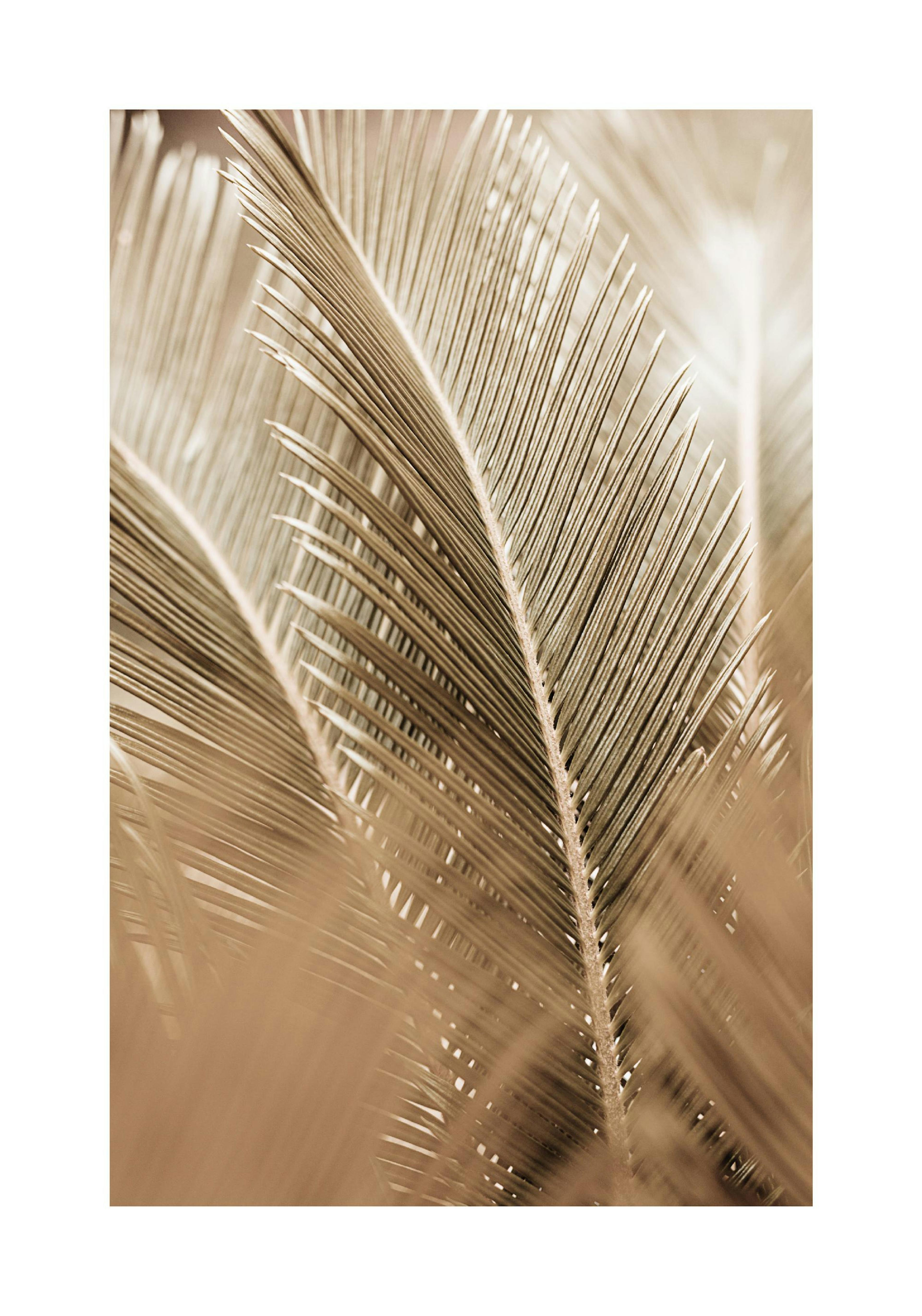 Golden Palm Leaves Poster thumbnail