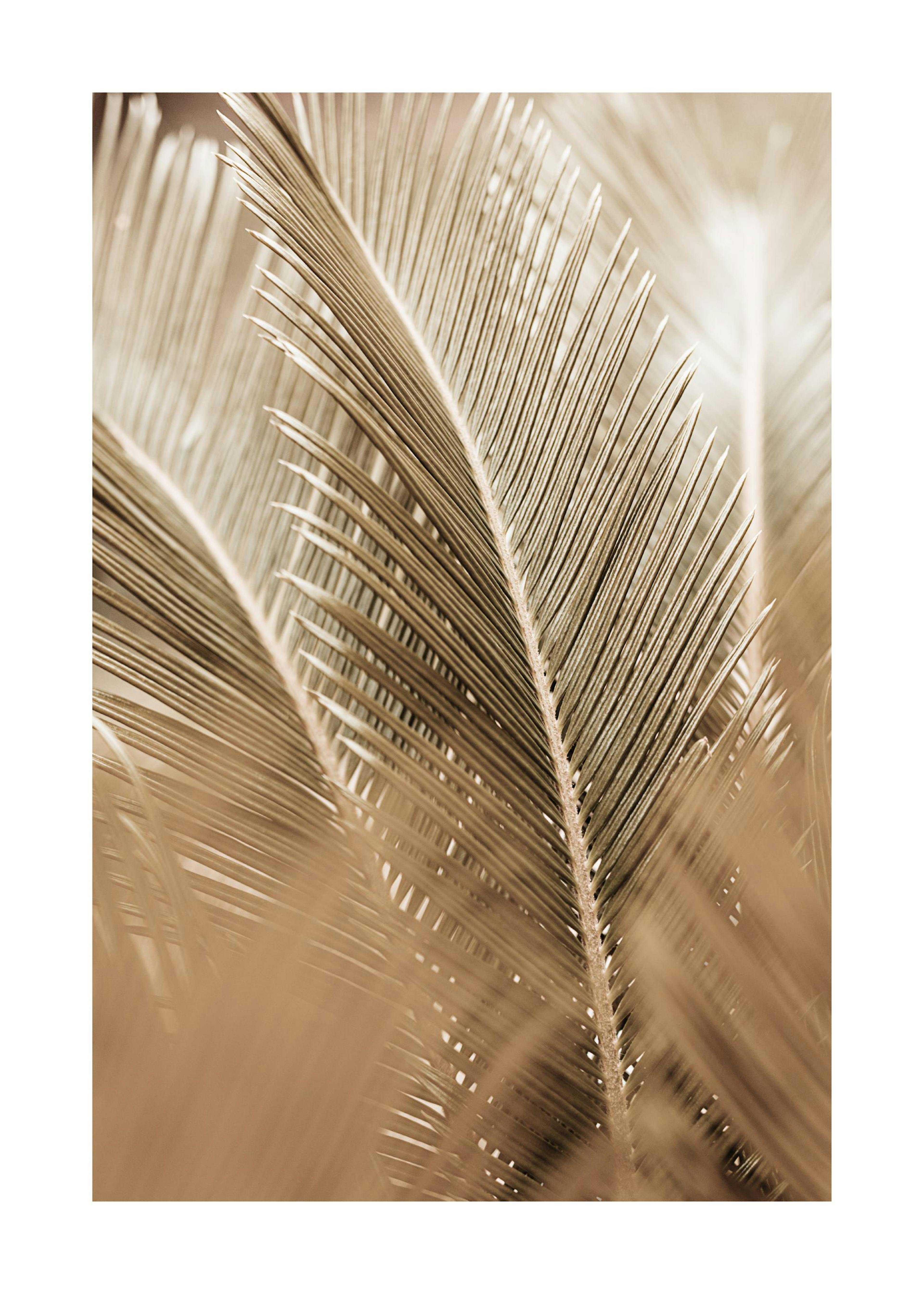 Feuilles de Palmier Dorées Poster 0