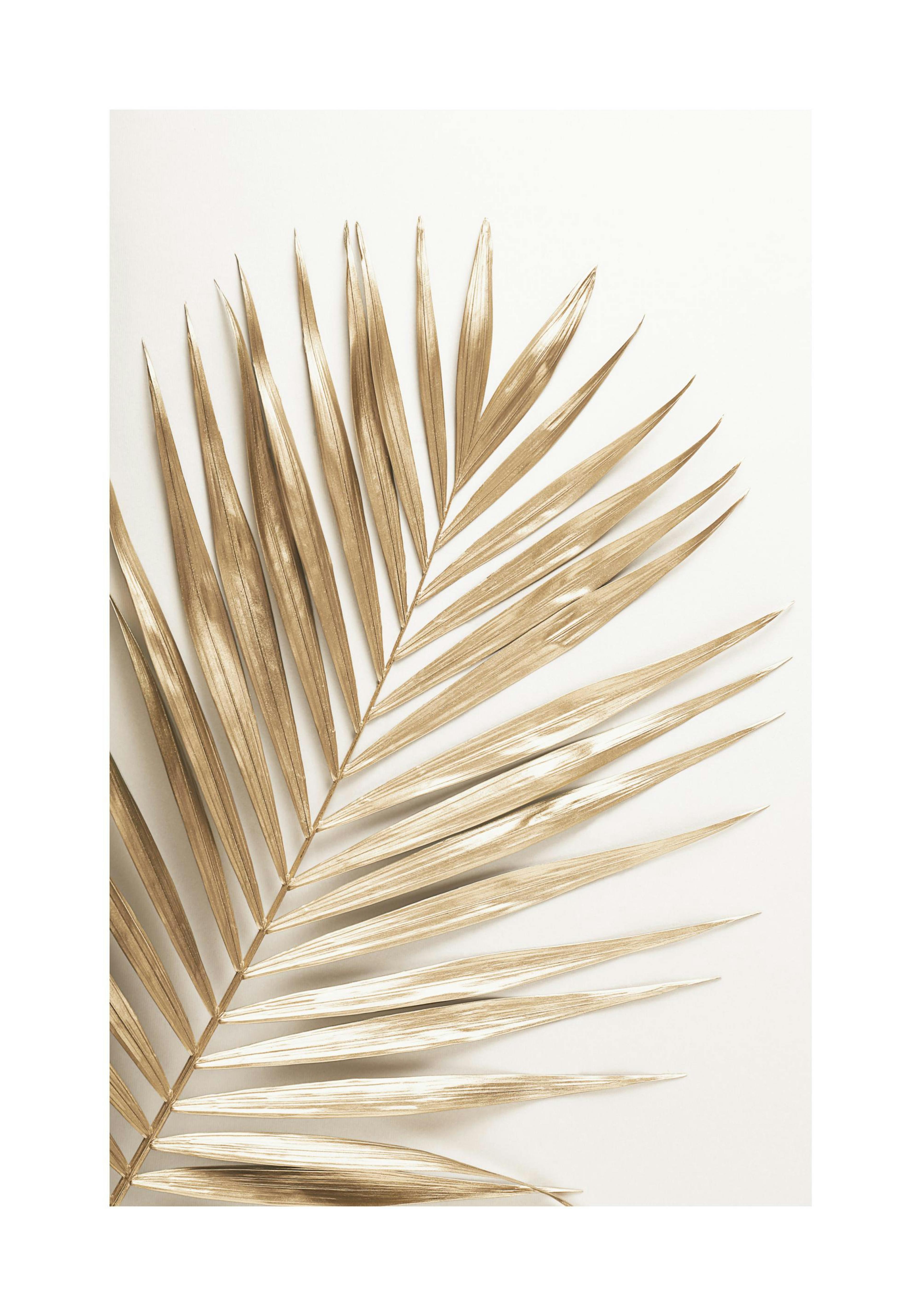 Gold Palm Poster thumbnail