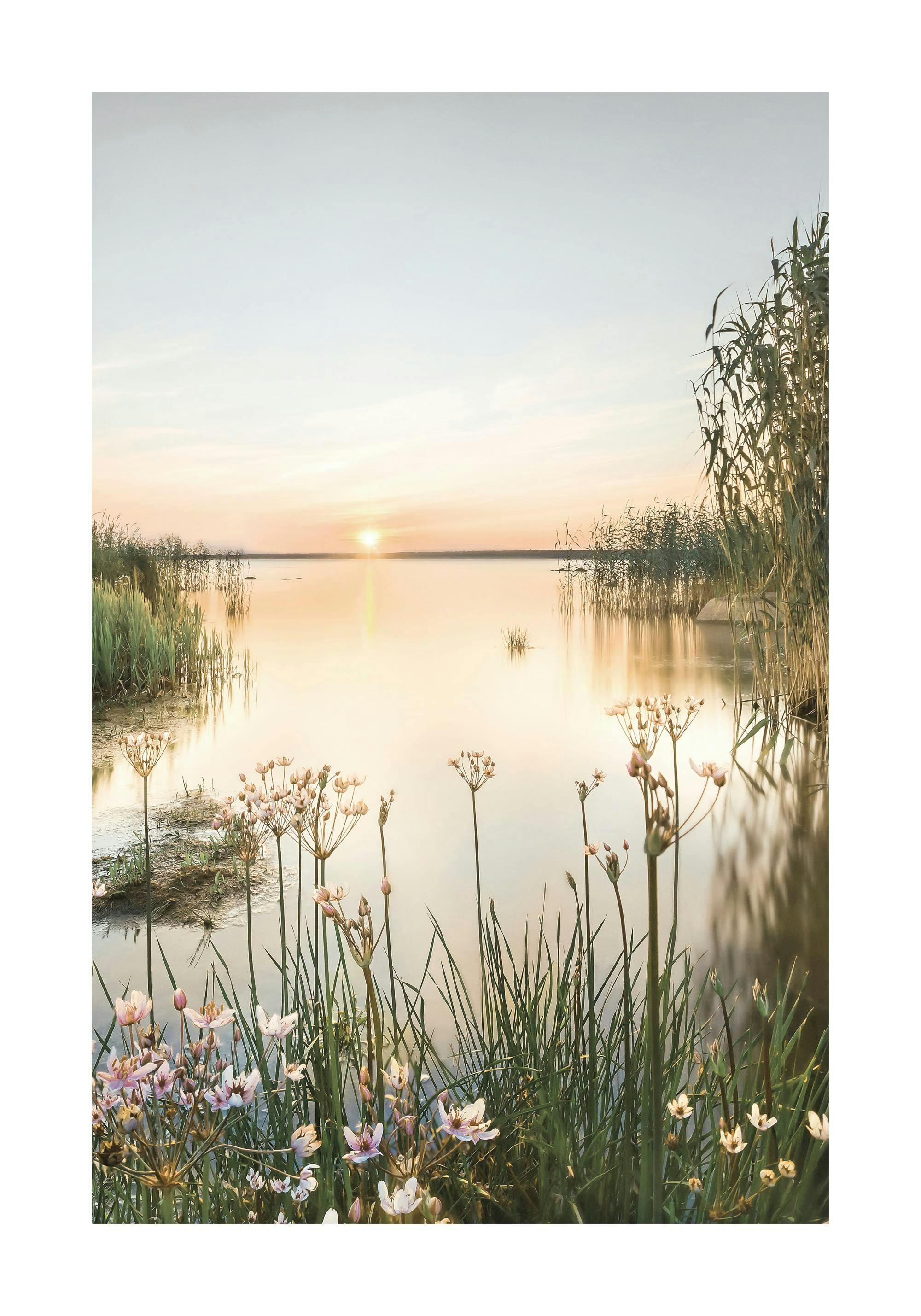 Summer Dawn Poster 0