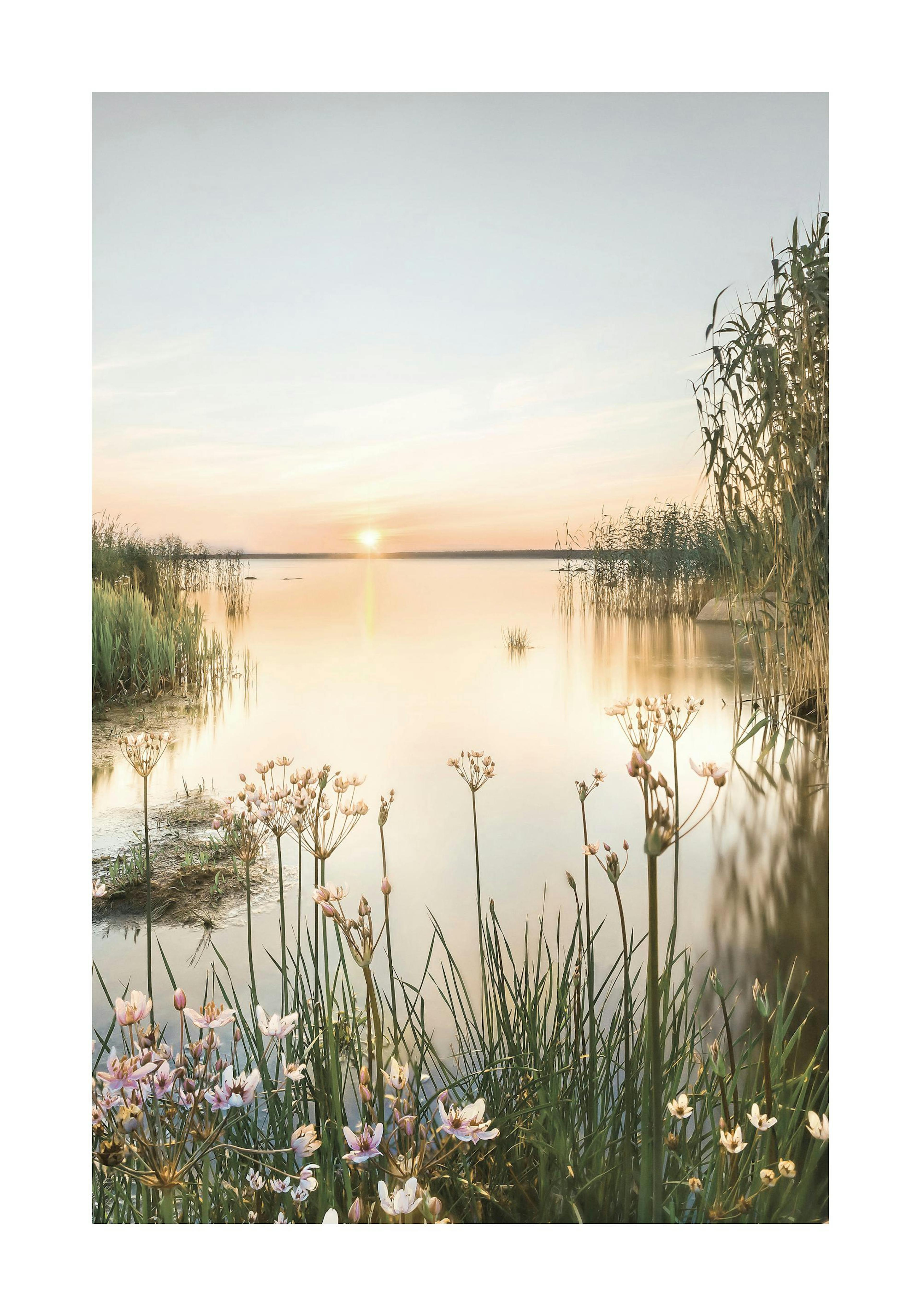Summer Dawn Poster 0