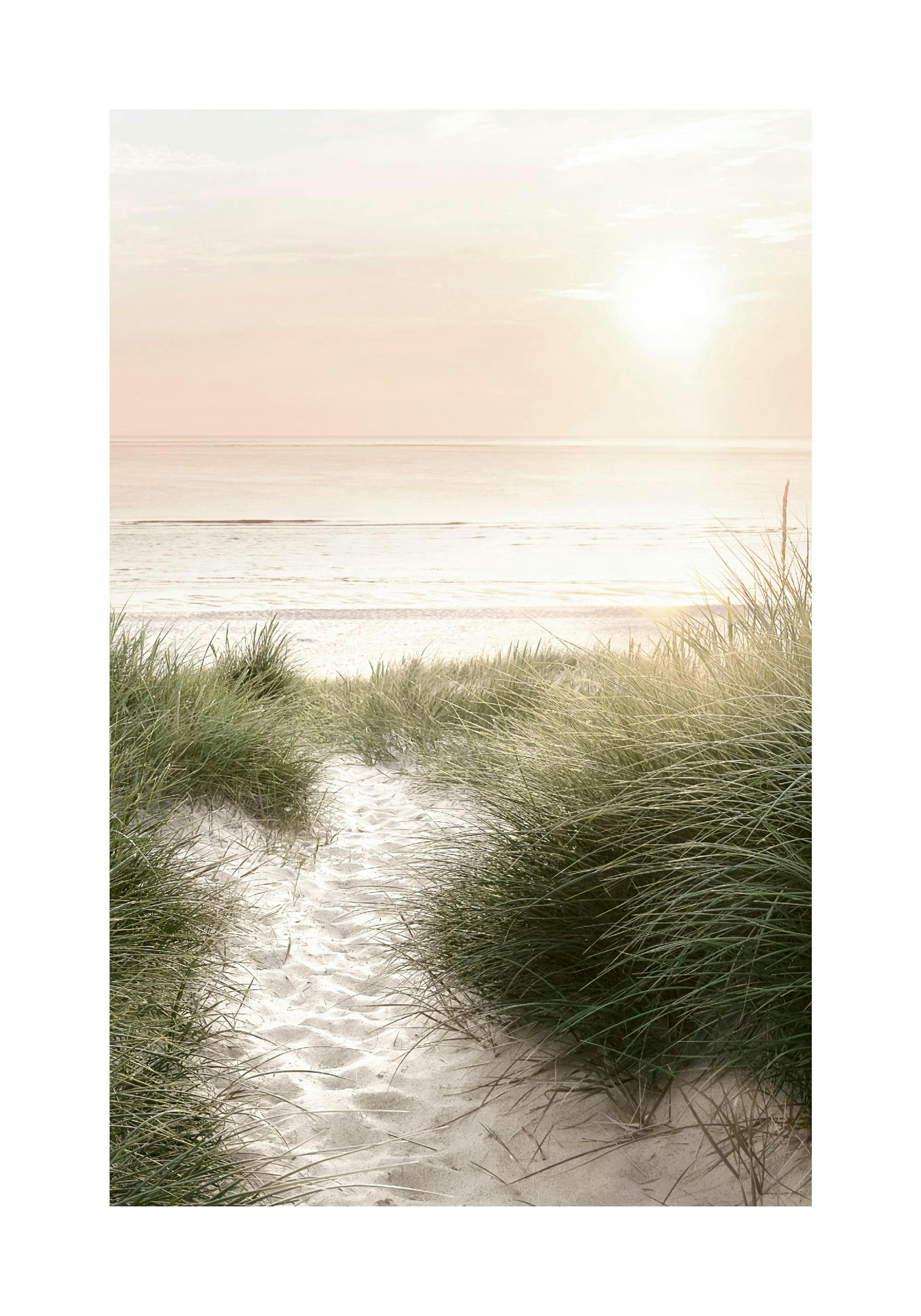 Sunset by the Beach Poster thumbnail