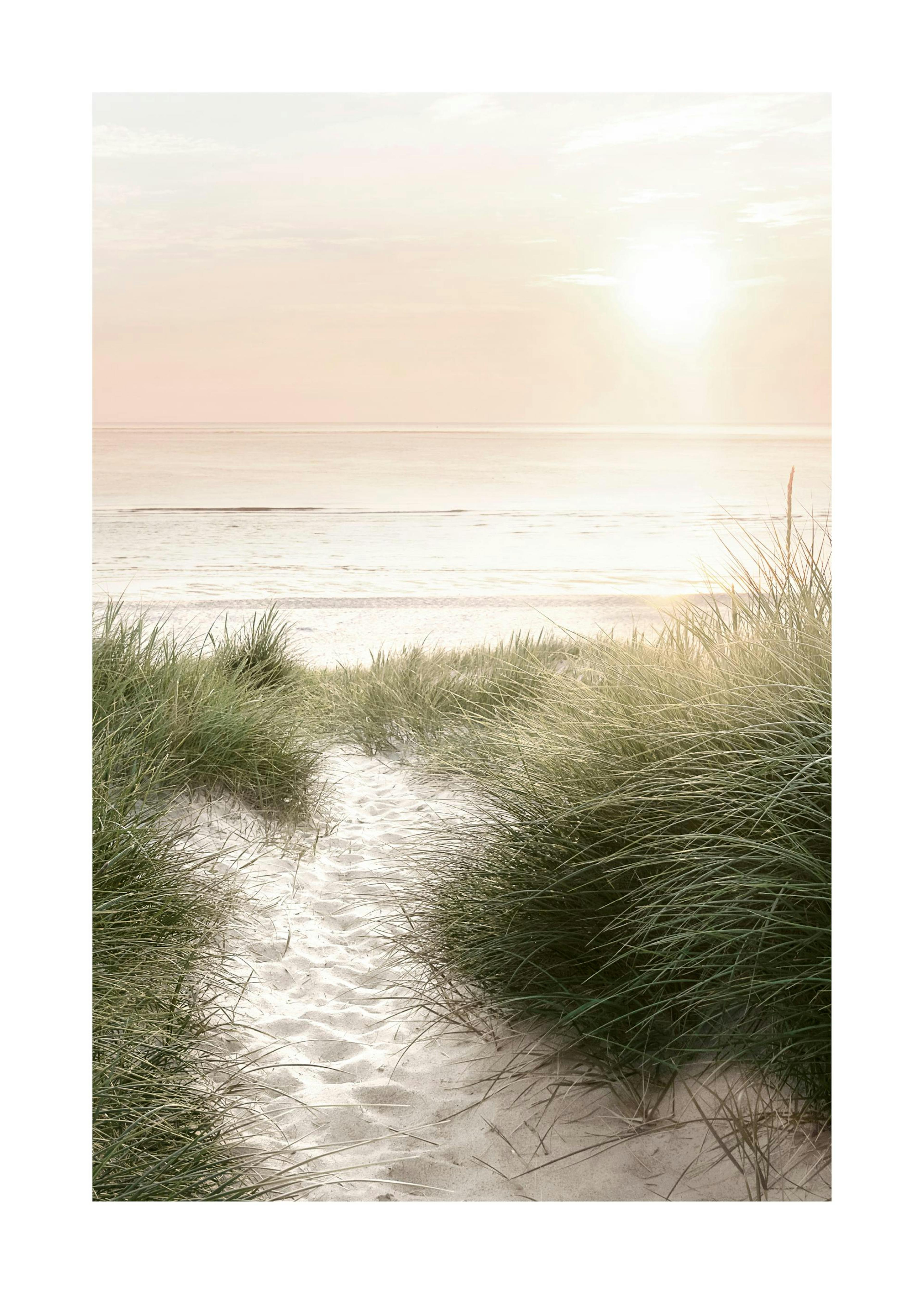 Coucher de Soleil sur la Plage Poster 0