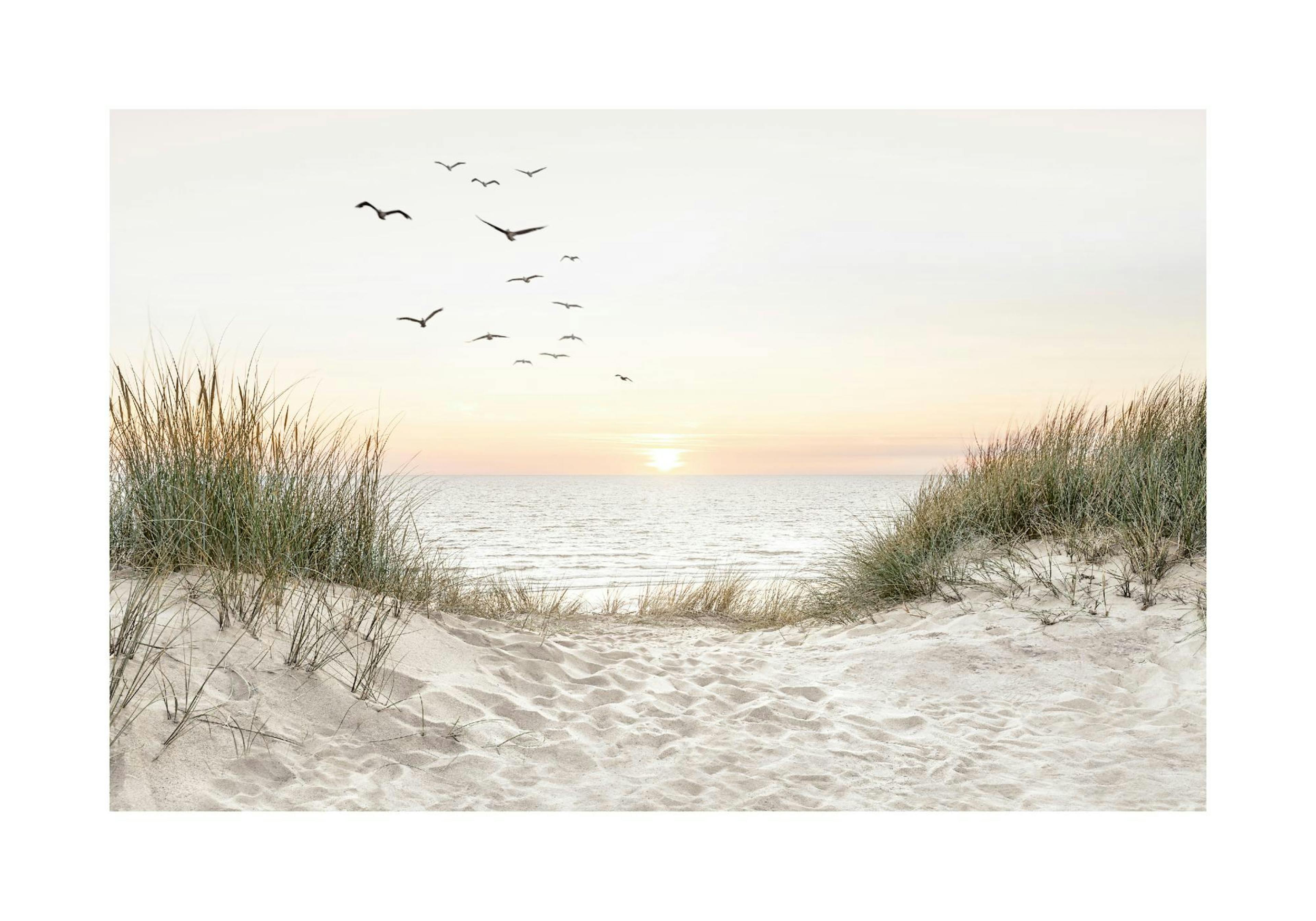 Strand landschap poster thumbnail