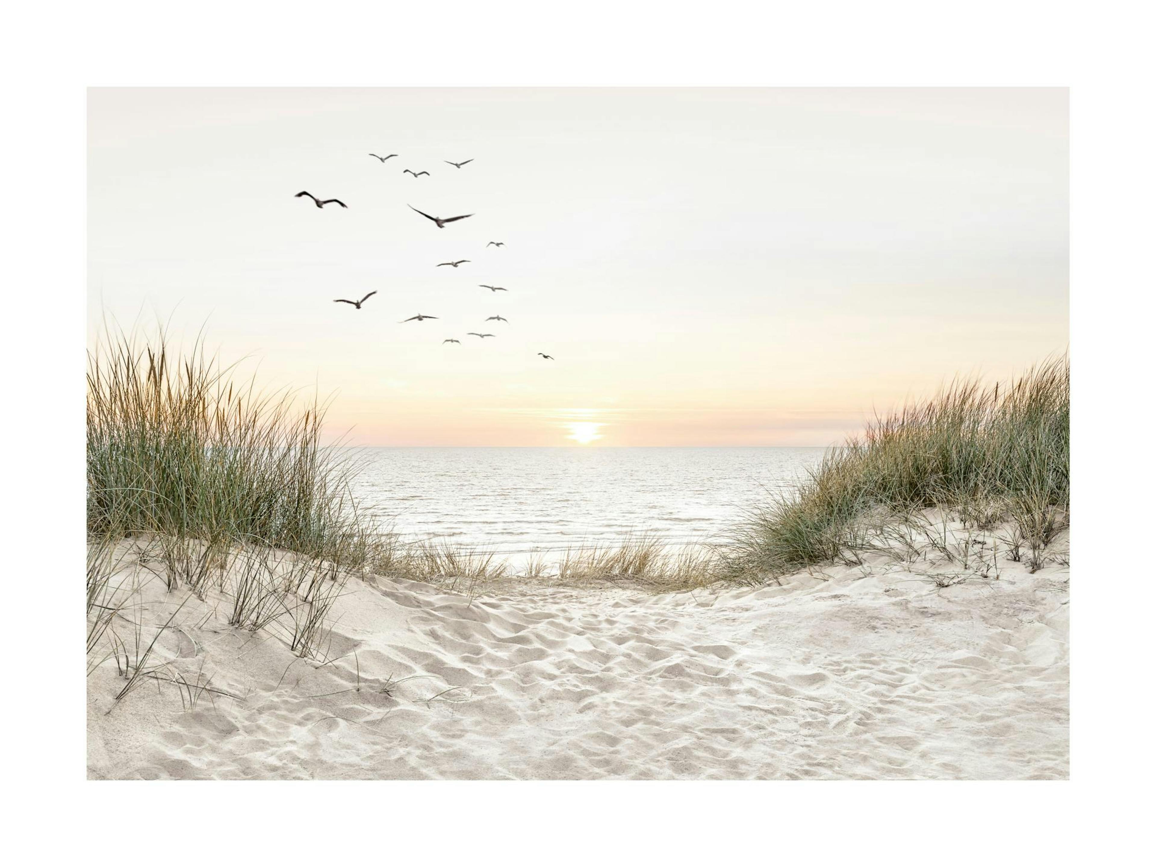 Beach Landscape Poster thumbnail