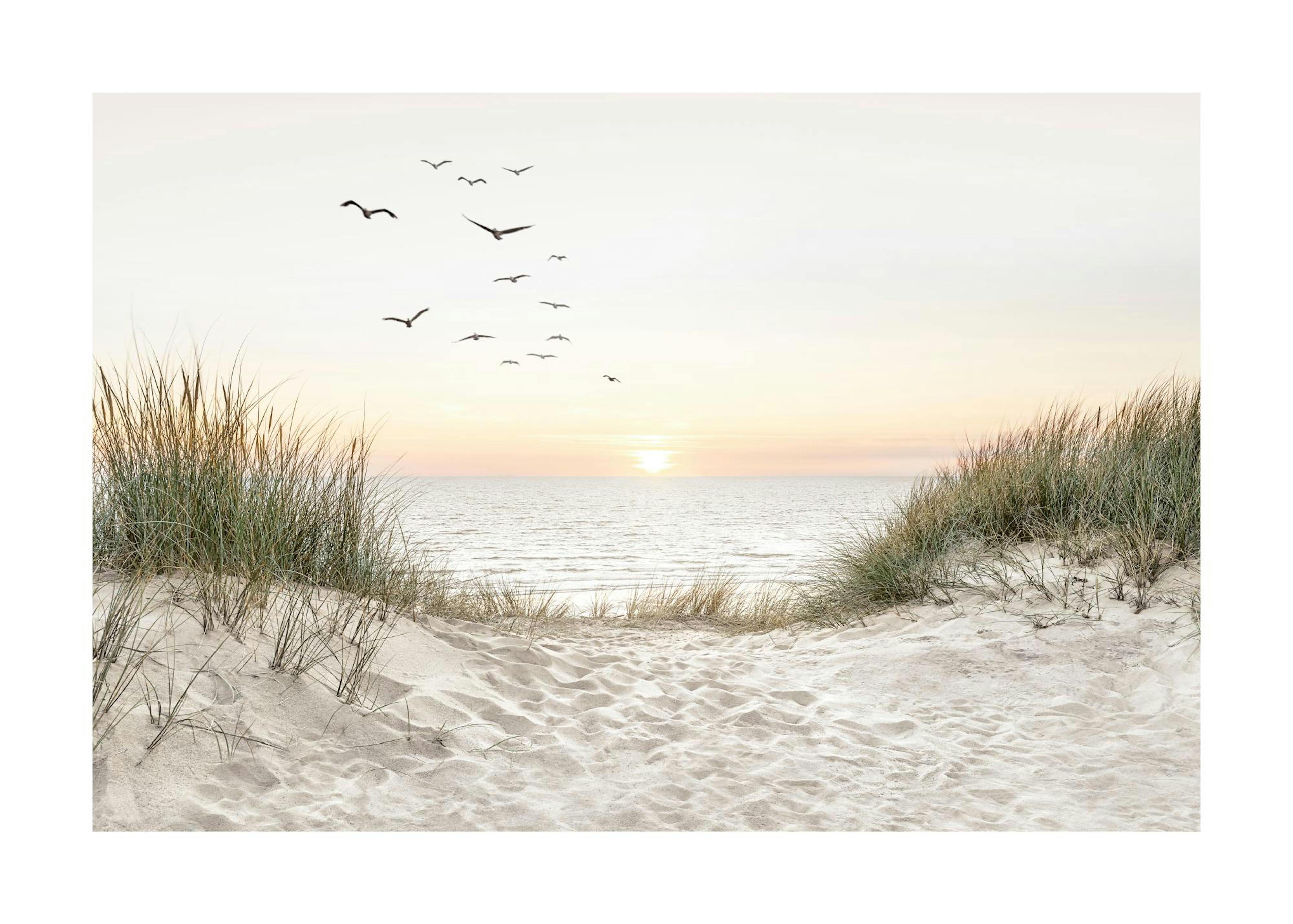 Beach Landscape Poster 0