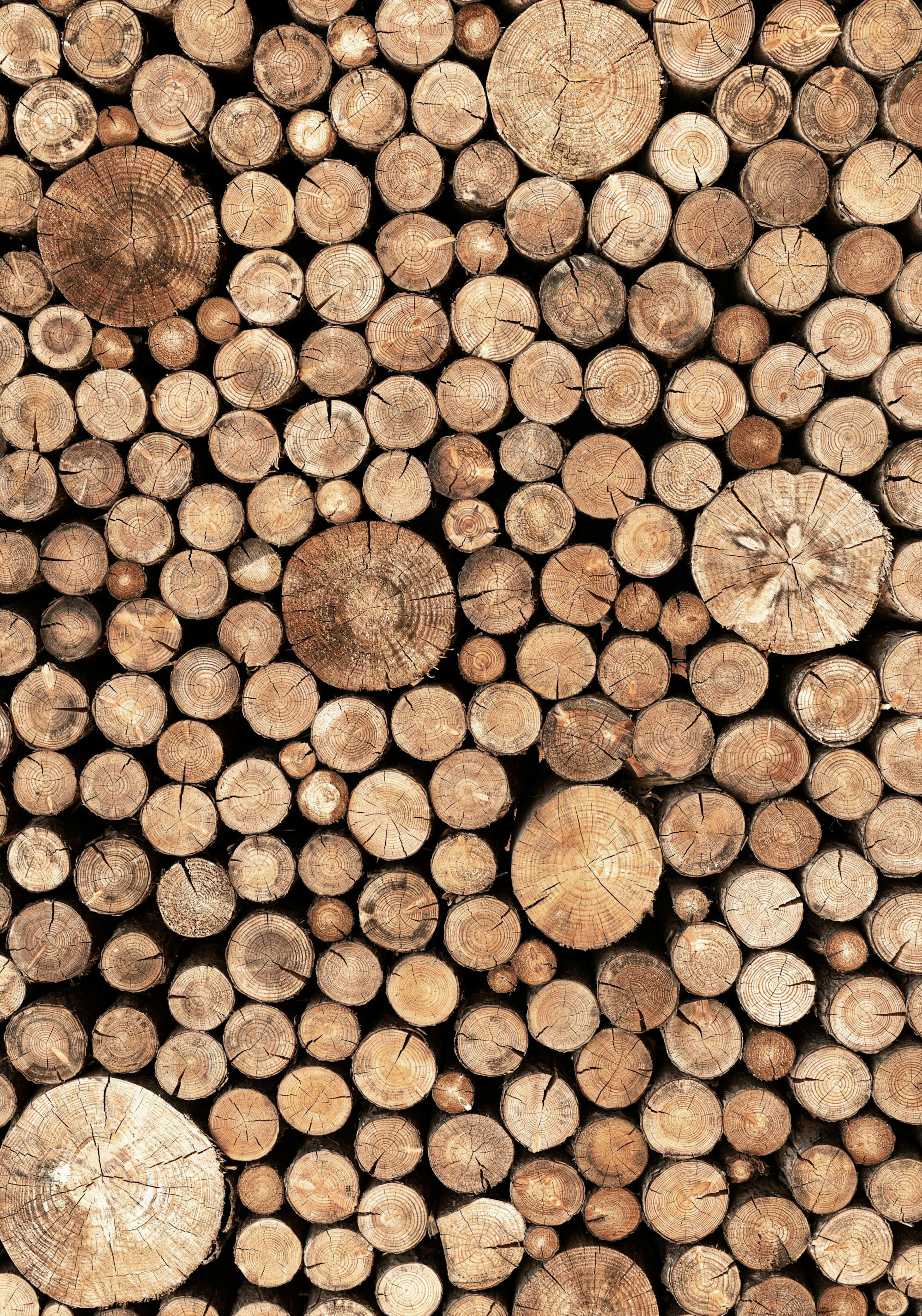 Wood Logs Poster thumbnail