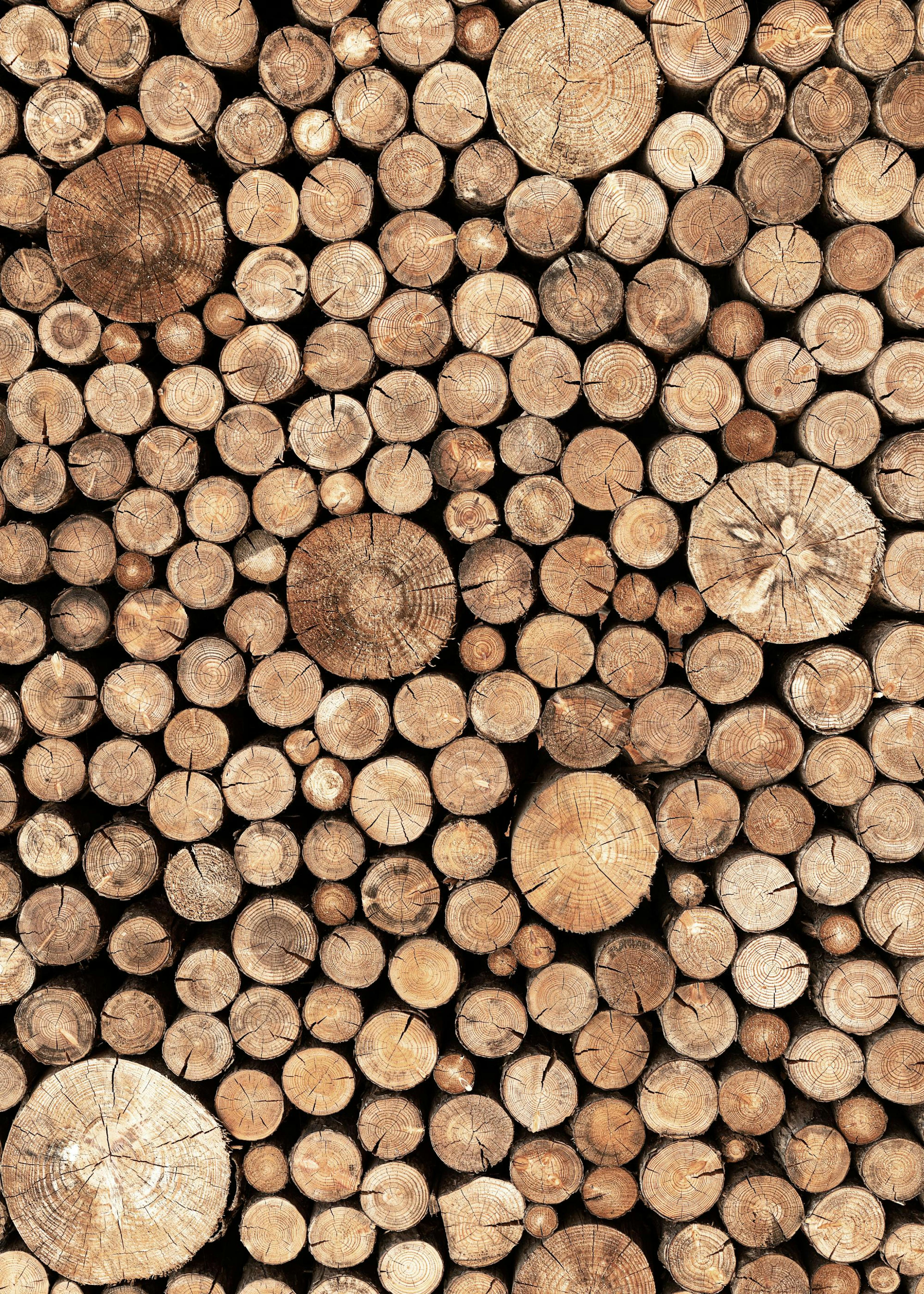 Wood Logs Poster 0
