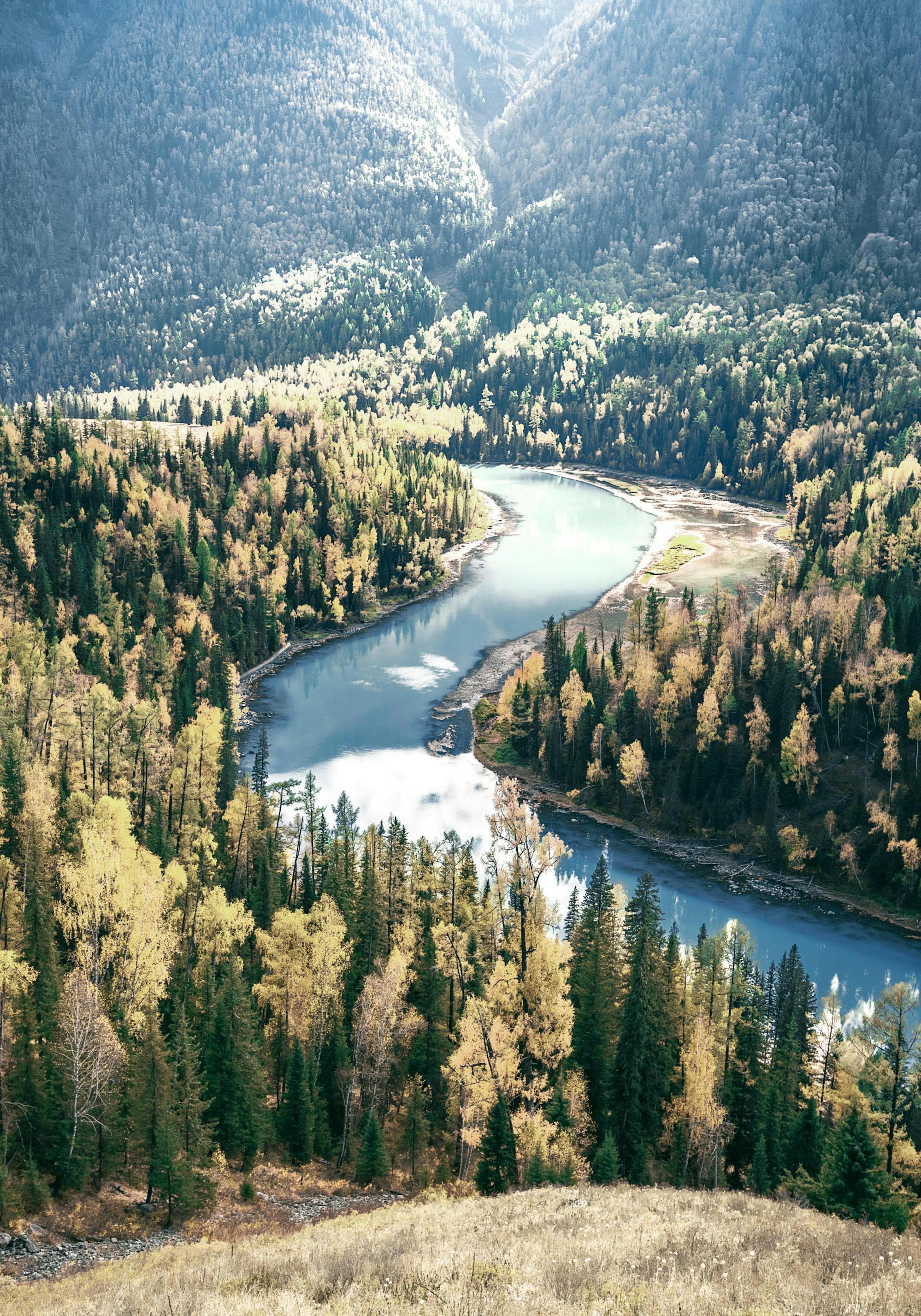 Rivière à travers les Bois Poster thumbnail