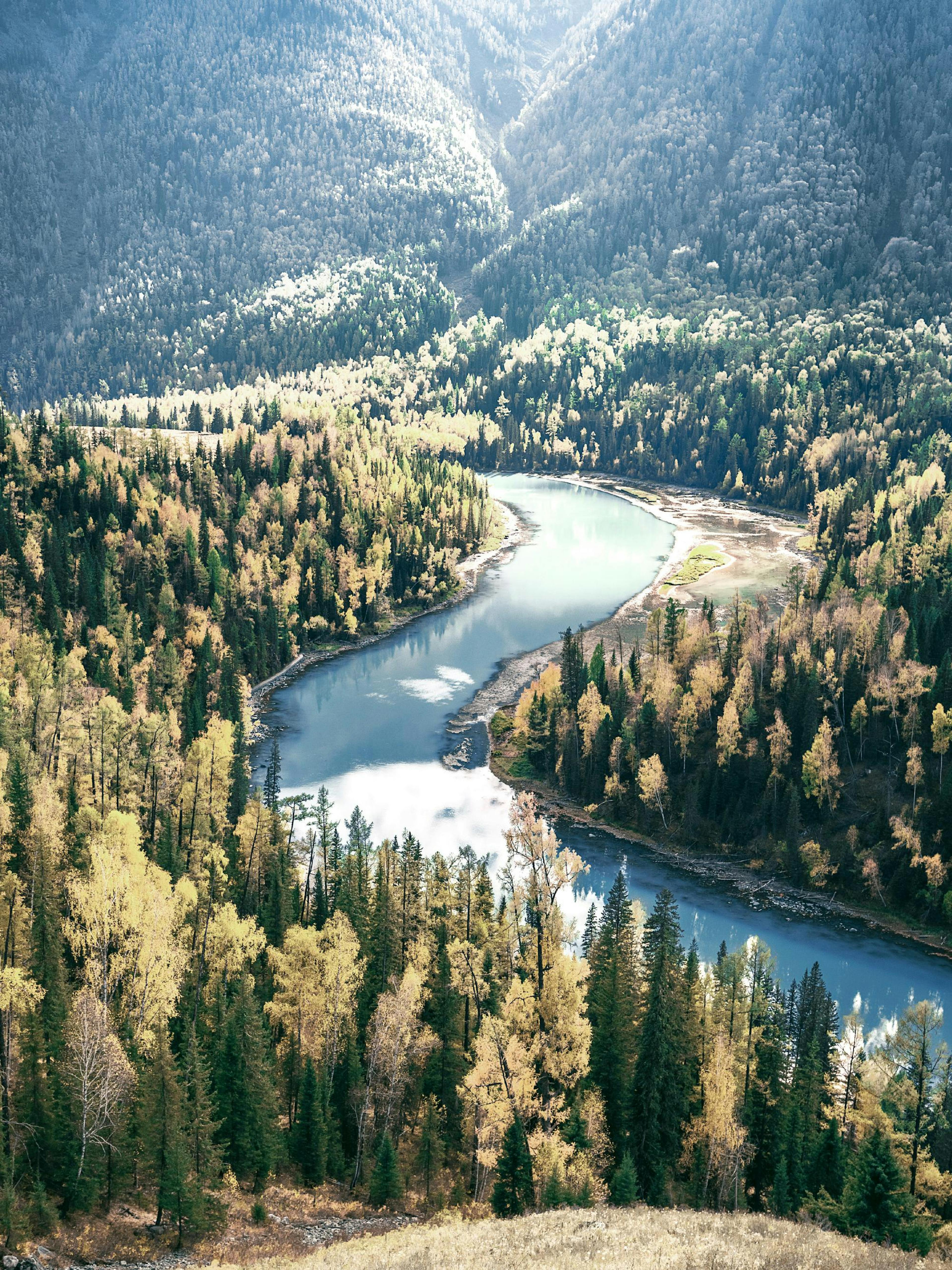 River Through the Woods Poster thumbnail
