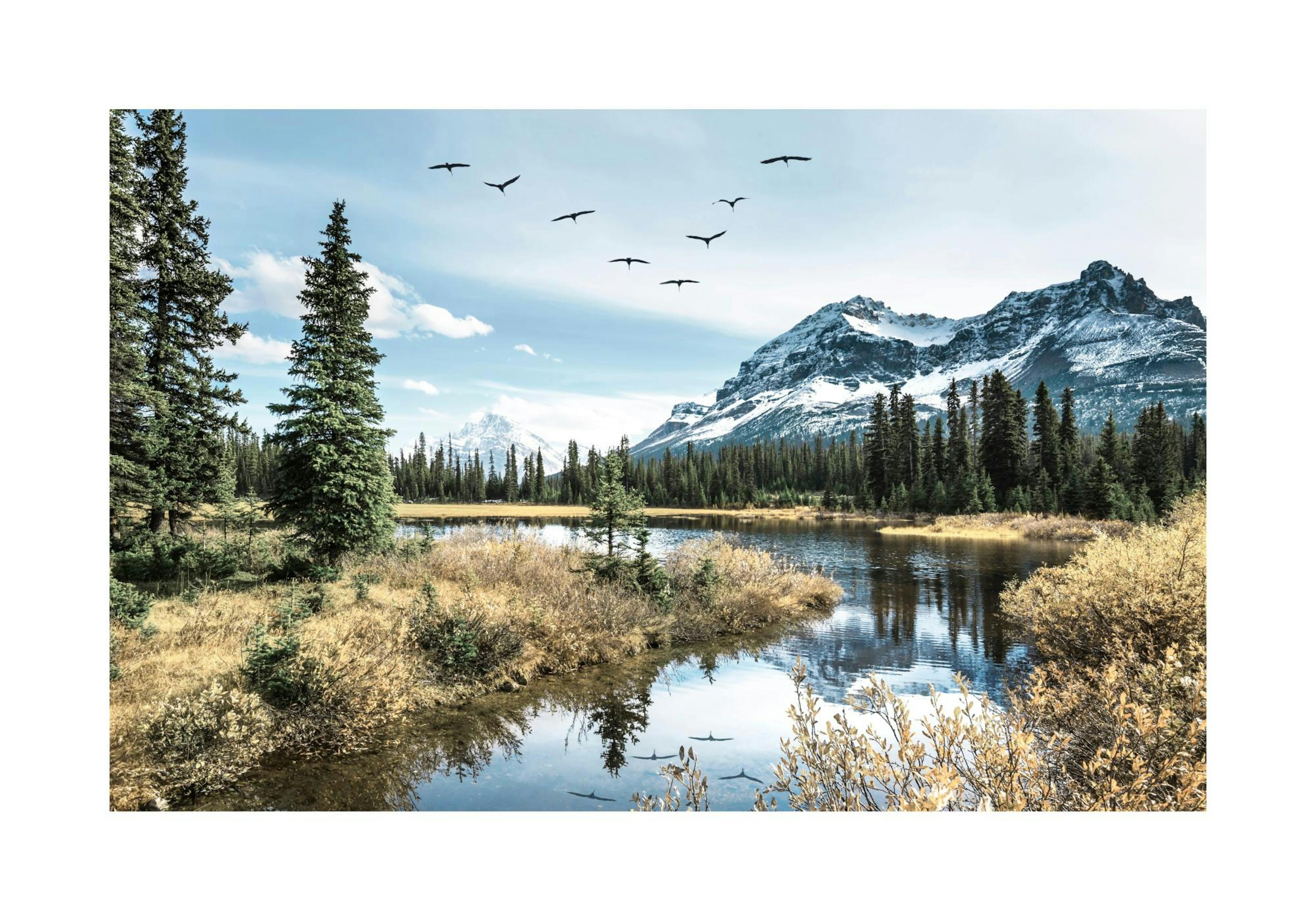 Mountain Birds Poster thumbnail