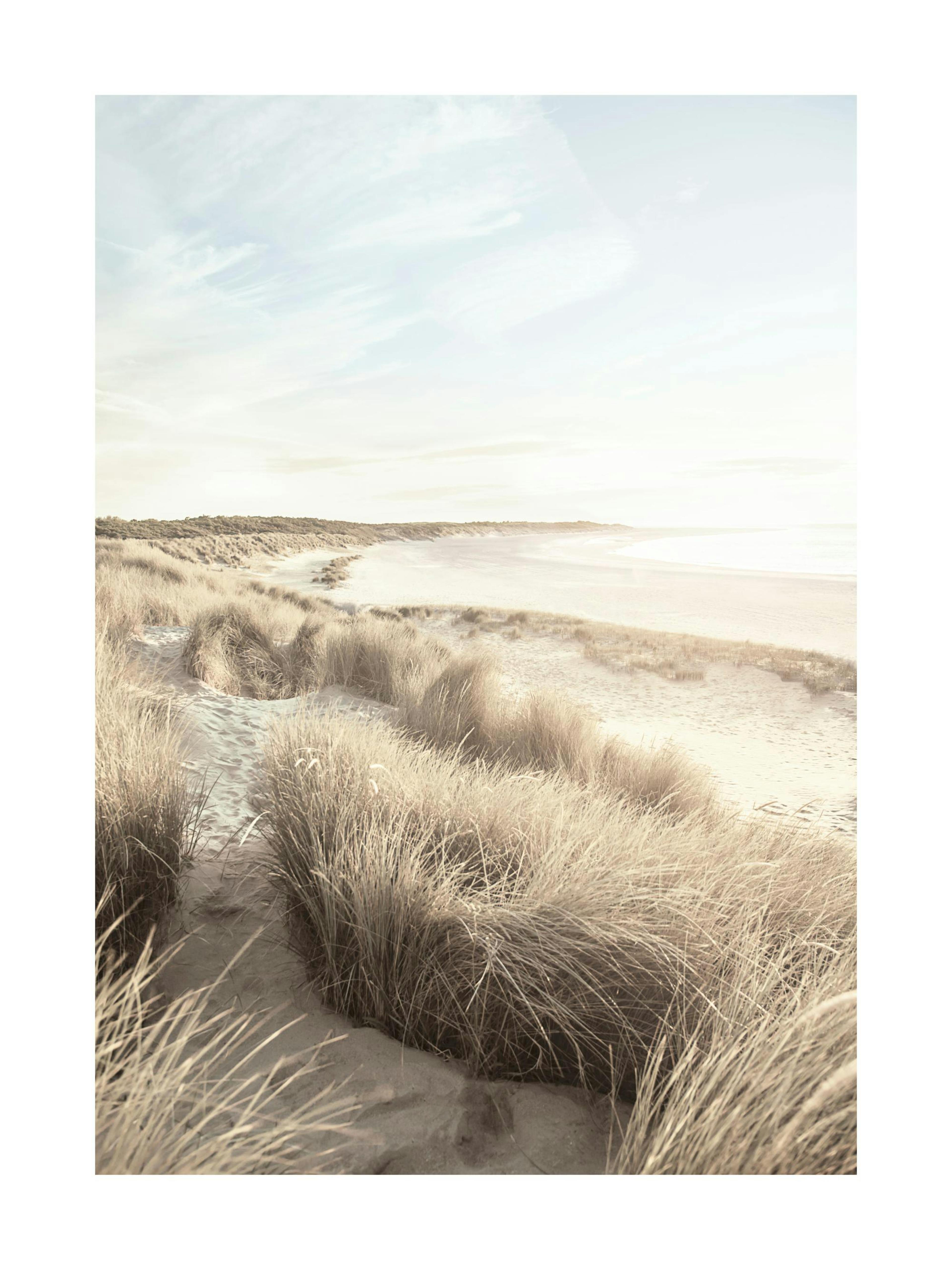 Beach Dune Grass Poster 0