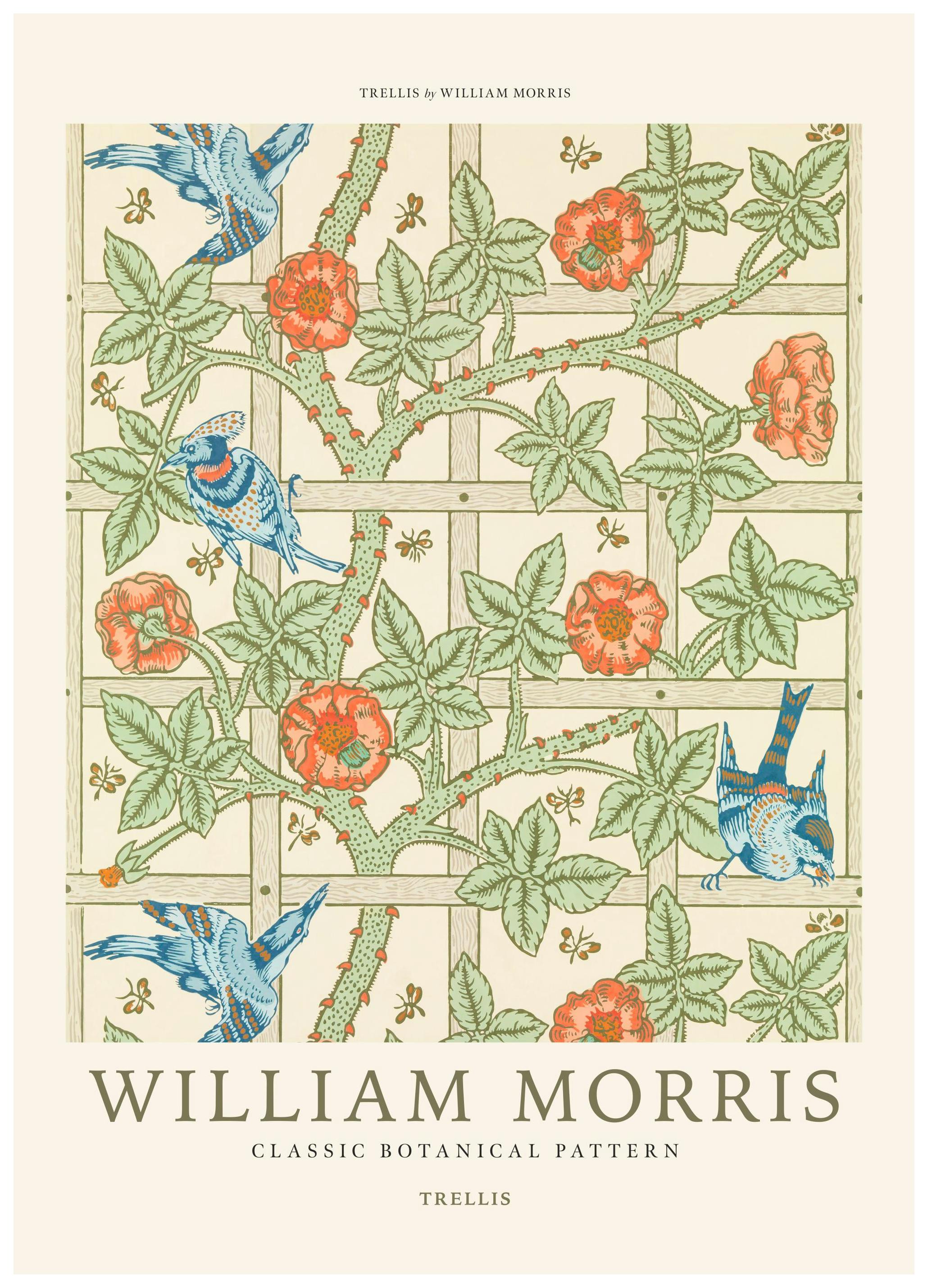 Prints William Morris - Trellis Poster (50x70 cm) - Poster Store