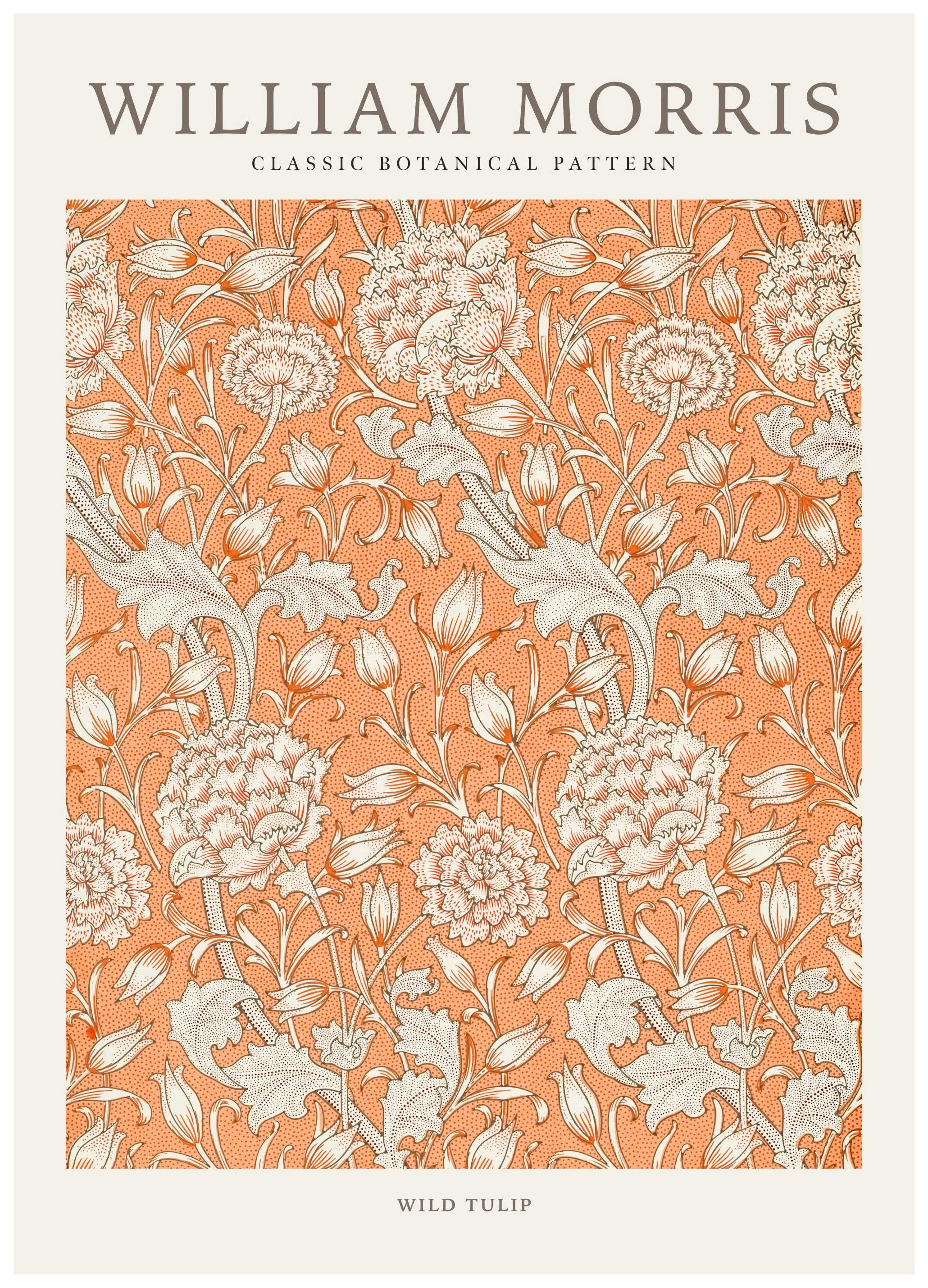 Prints William Morris - Wild Tulip Poster (50x70 cm) - Poster Store