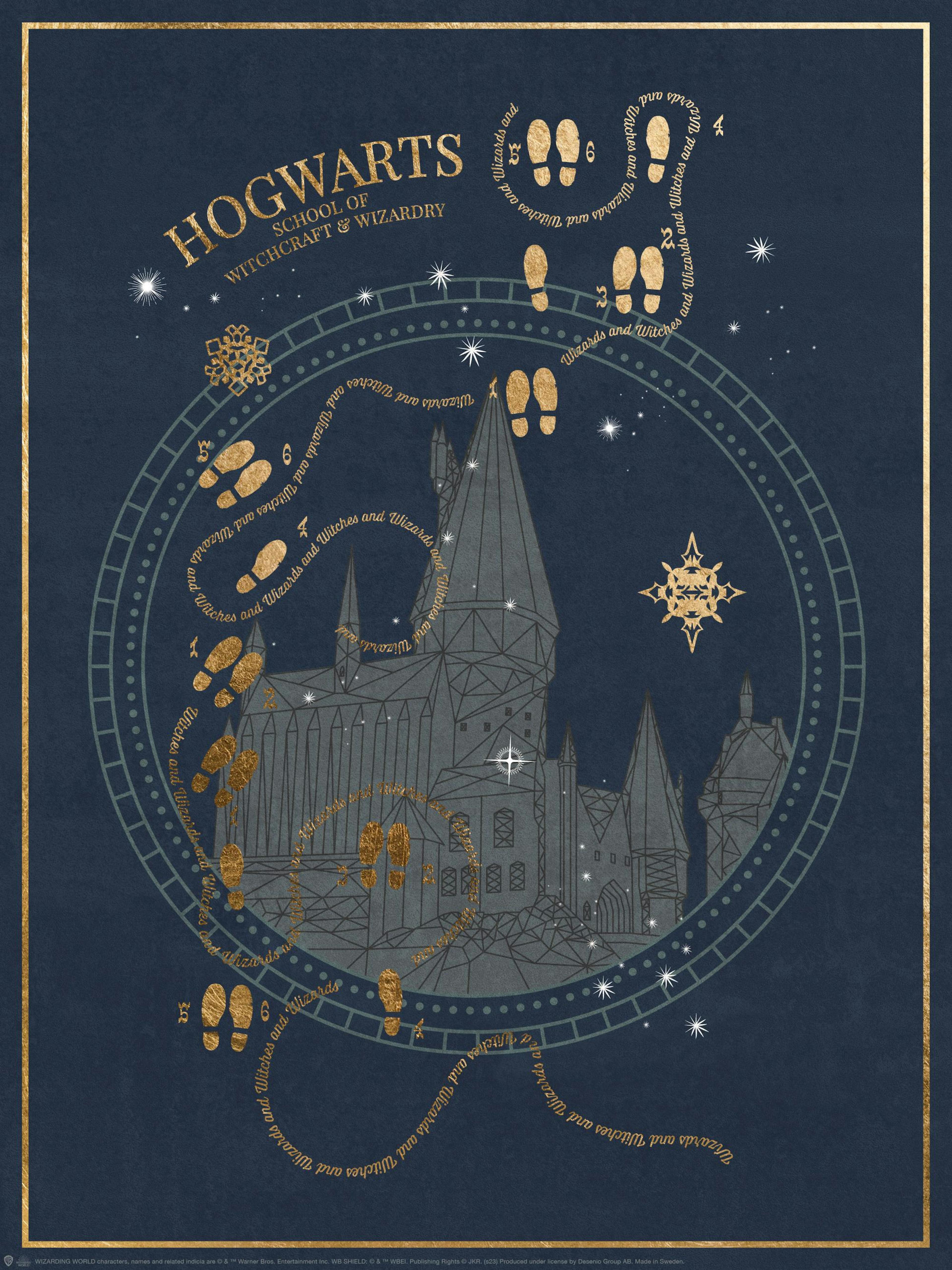 Harry Potter™ - Hogwarts School Poster thumbnail