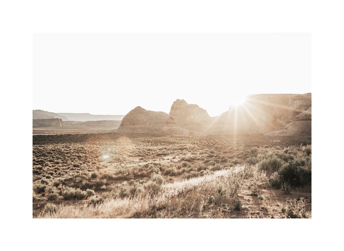 Prints Wake With the Sun Poster (50x70 cm) - Poster Store