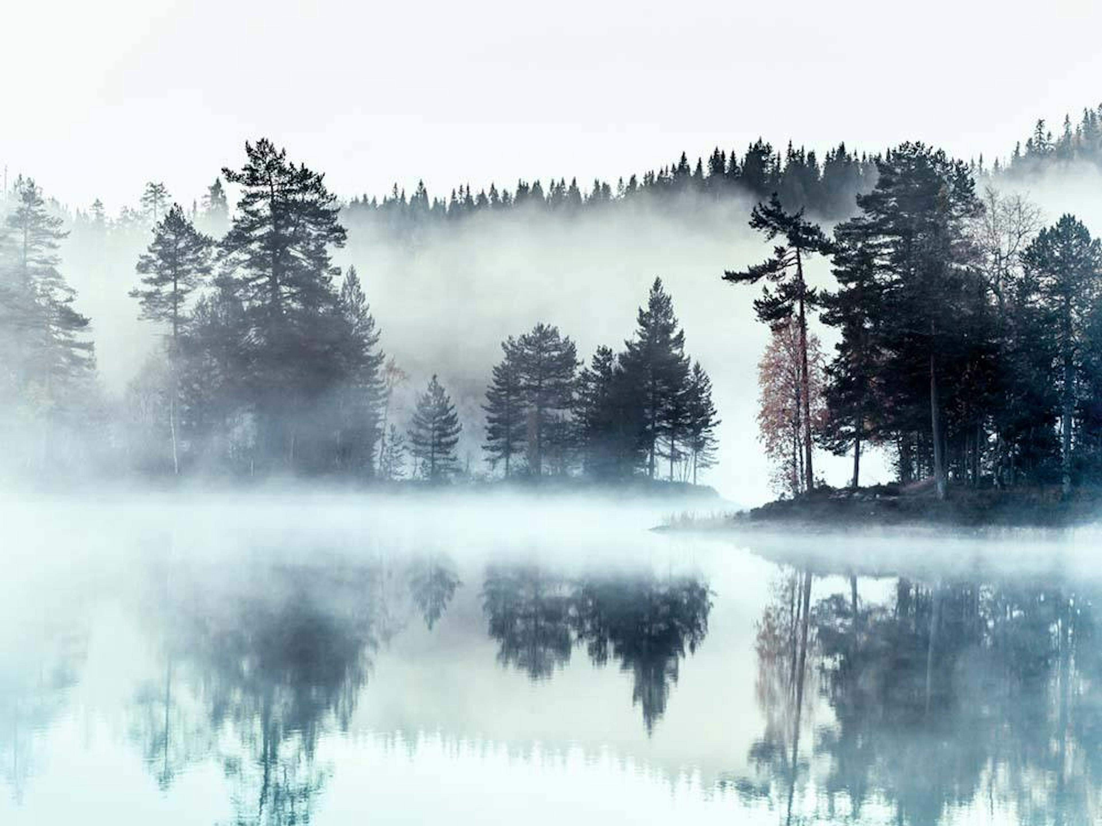 Lago Nebbioso Poster thumbnail