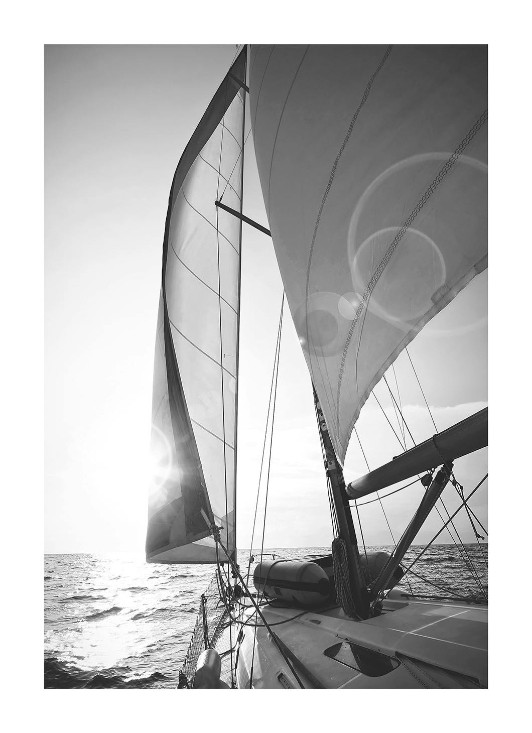 Voile au Coucher du Soleil Poster (50x70 cm) - Poster Store