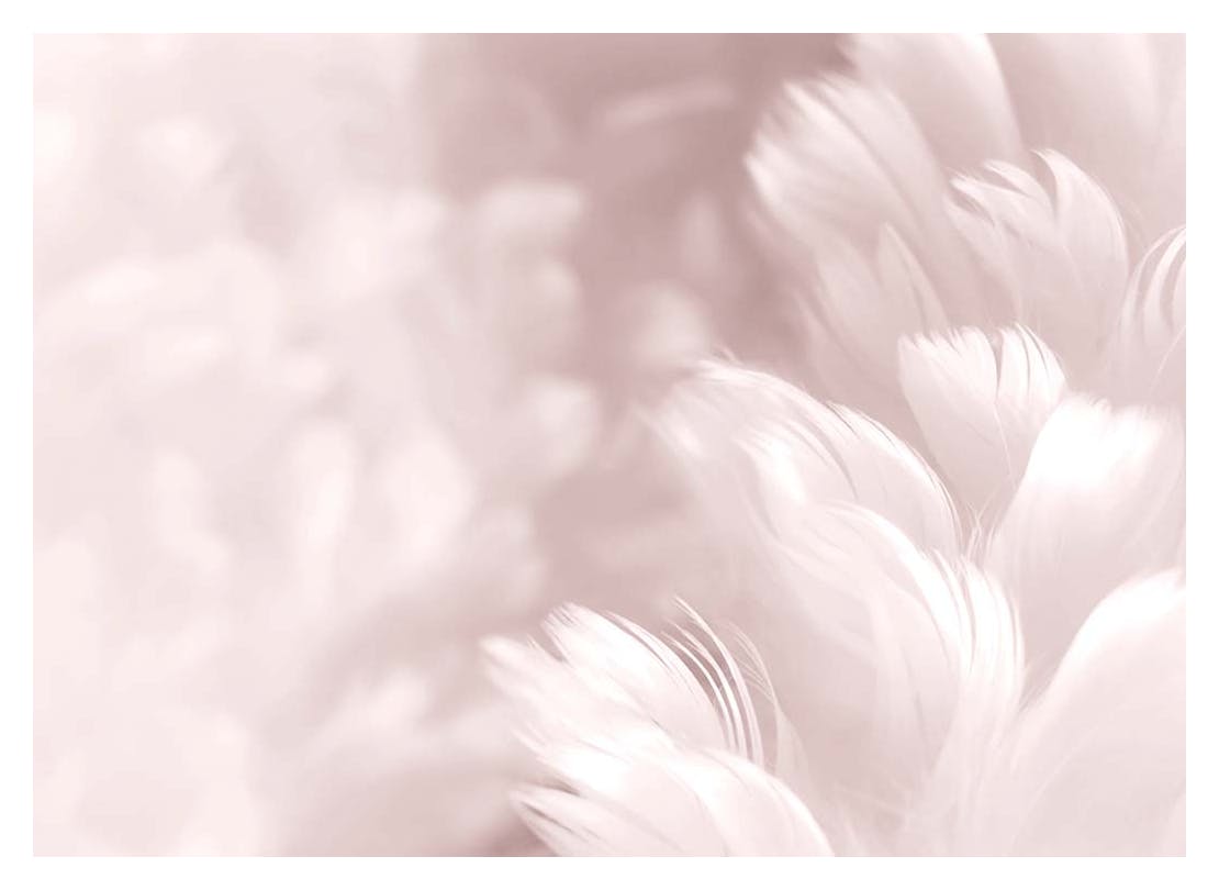 Pink Feathers Poster (13x18 cm) - Poster Store