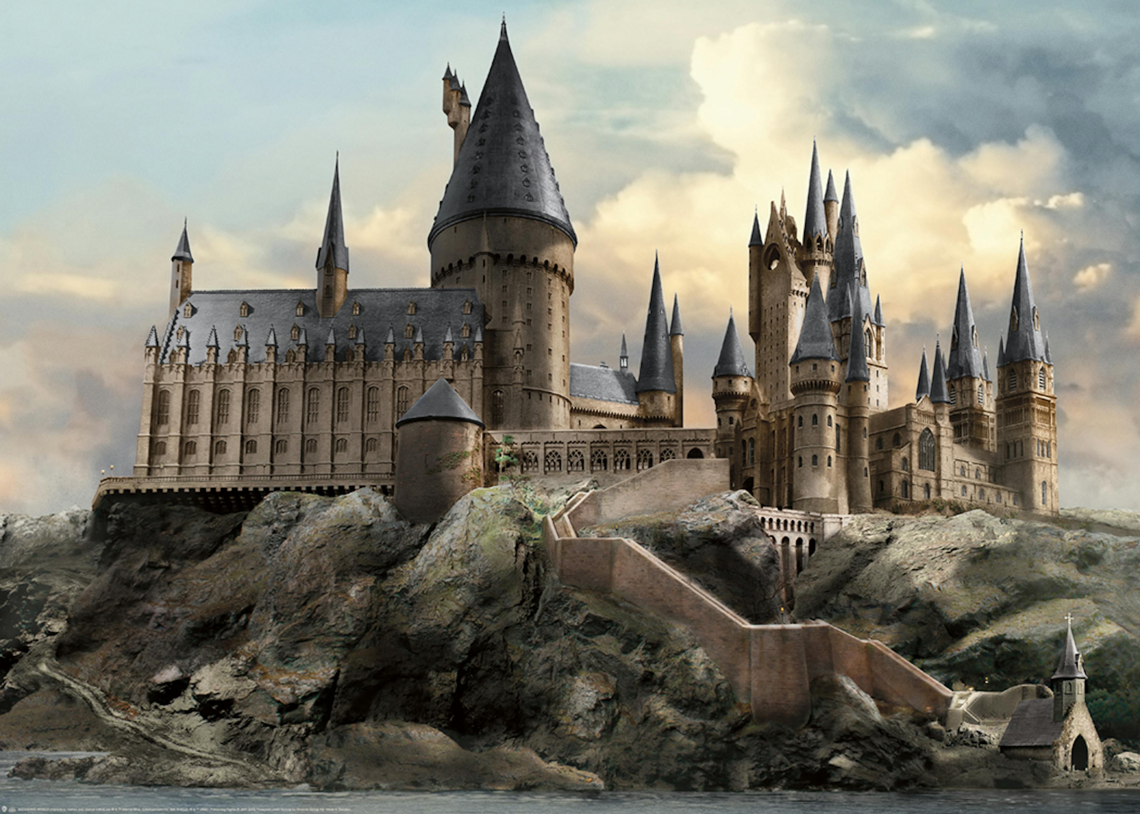 Harry Potter™ - Hogwarts Plakát 0