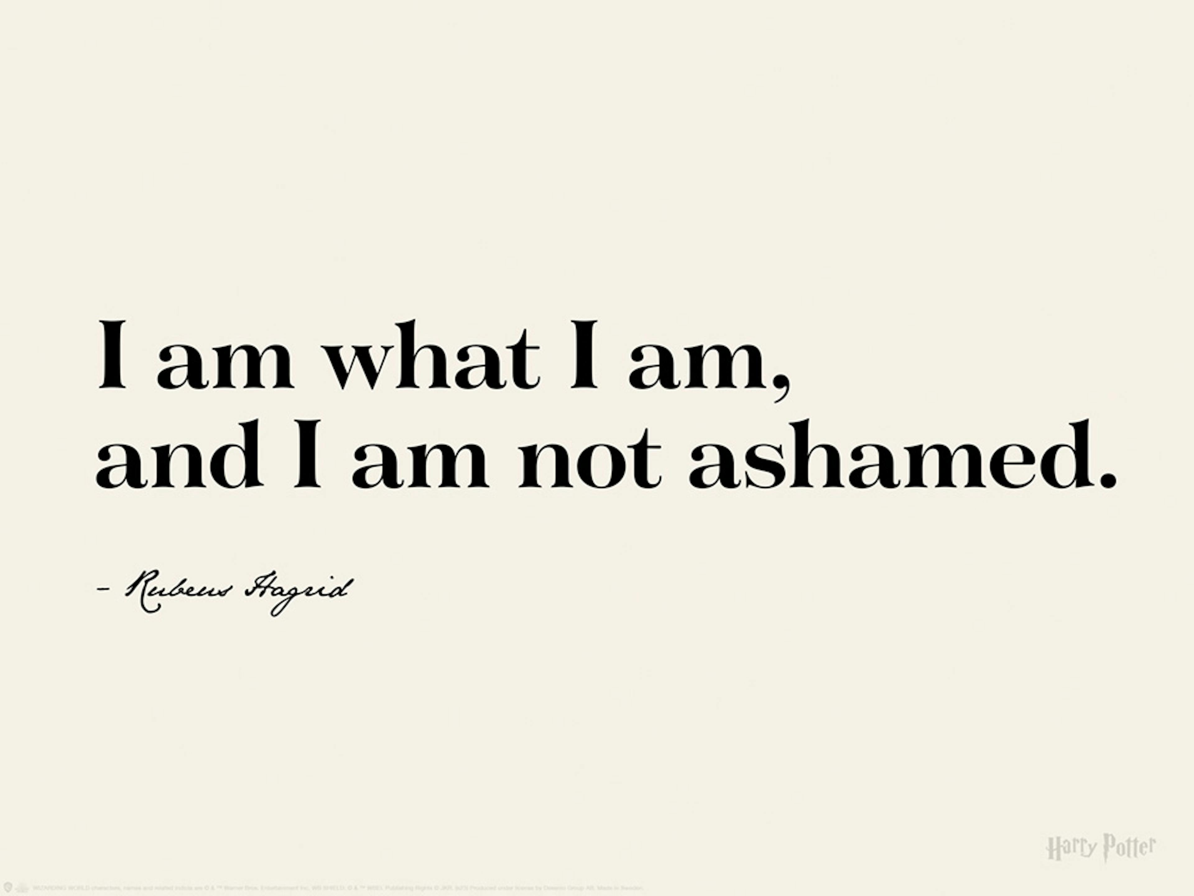 Harry Potter™ - I am What I am Plakat thumbnail