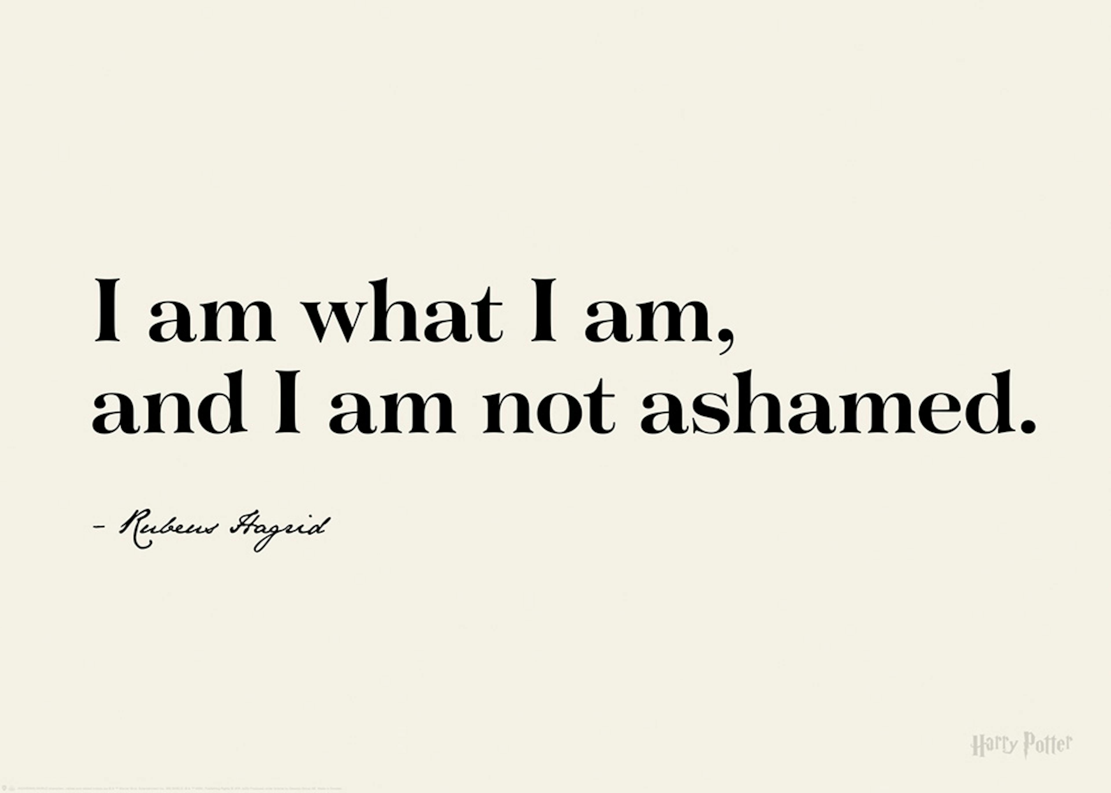 Harry Potter™ - I am What I am Plakát 0
