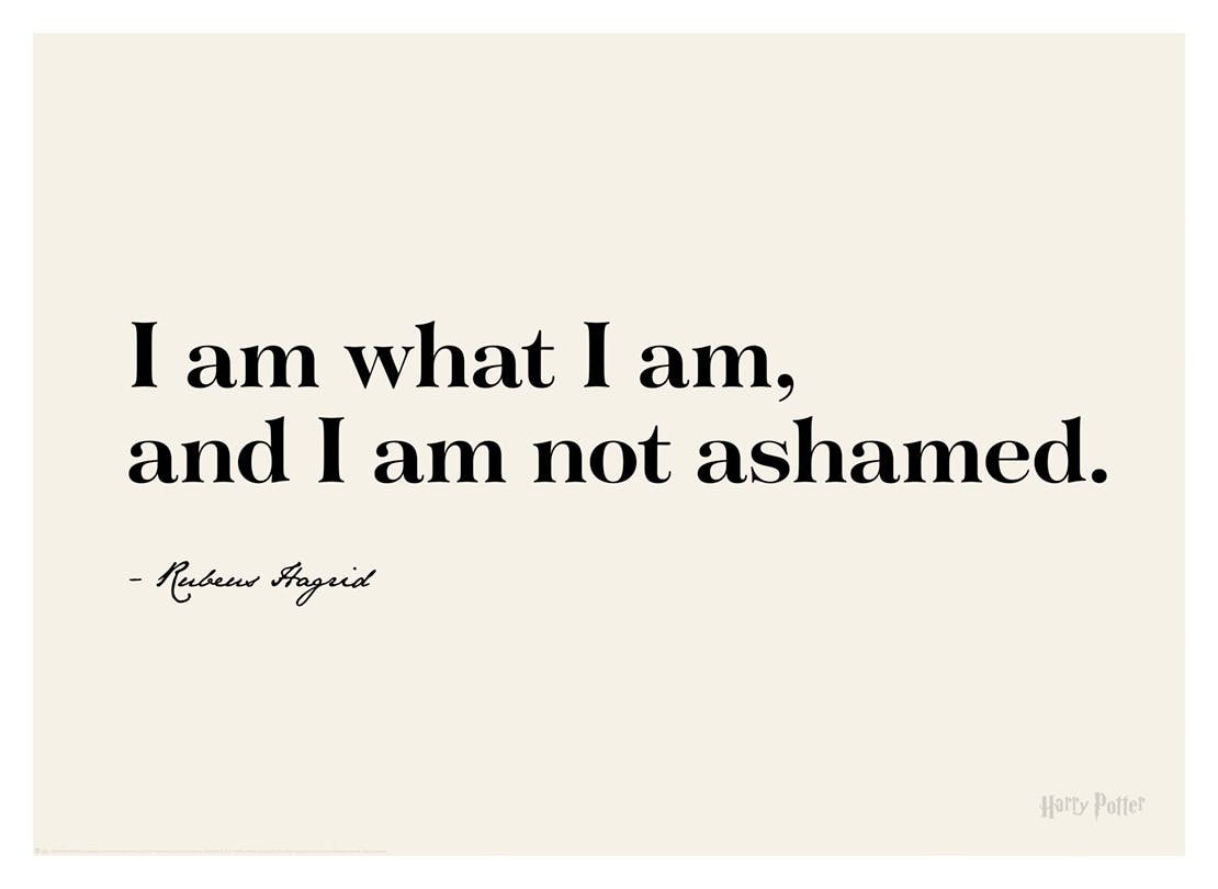 Harry Potter™ - I am What I am Affiche (30x40 cm) - Poster Store