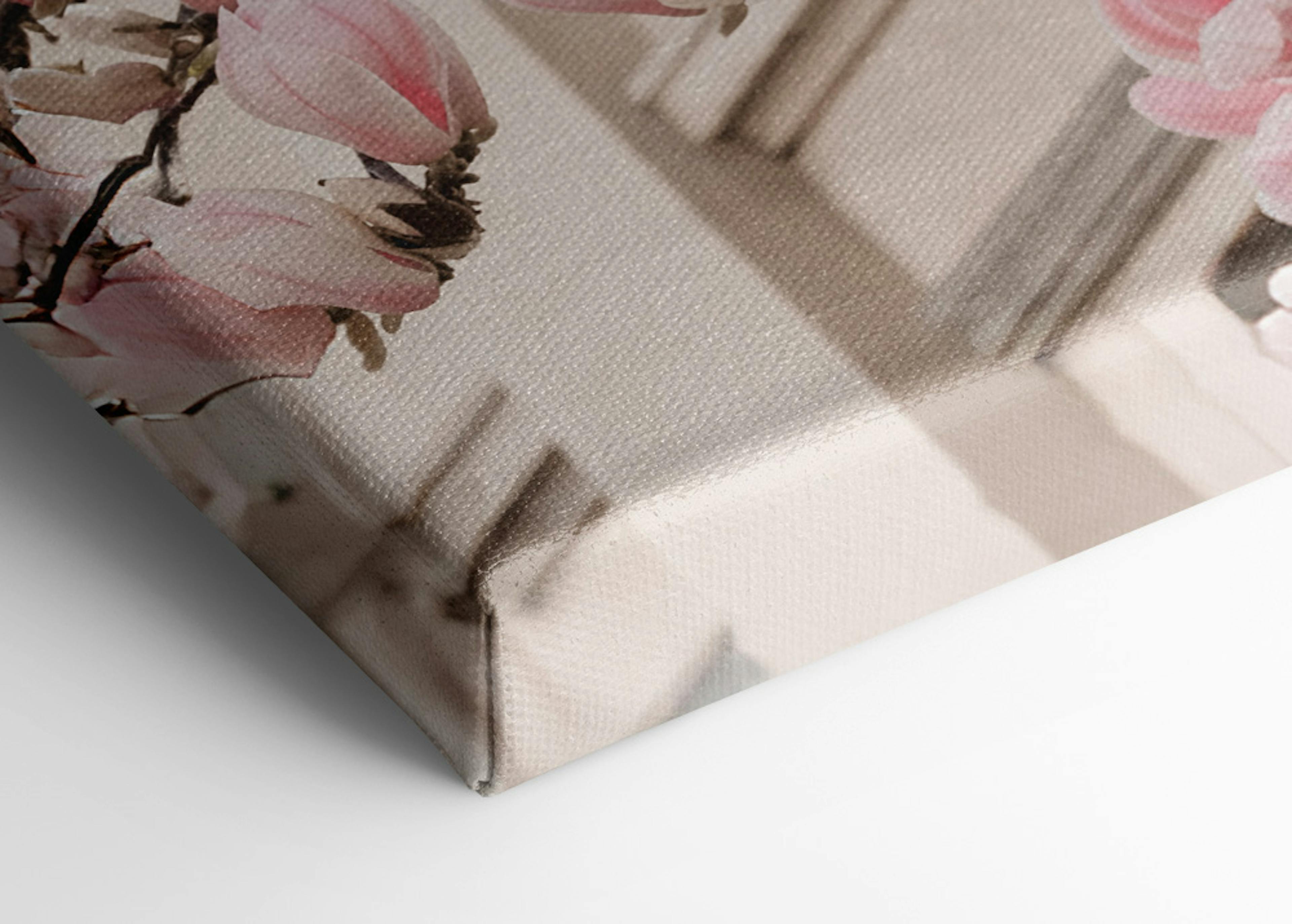 Roze Magnolia Bloesem Canvas thumbnail