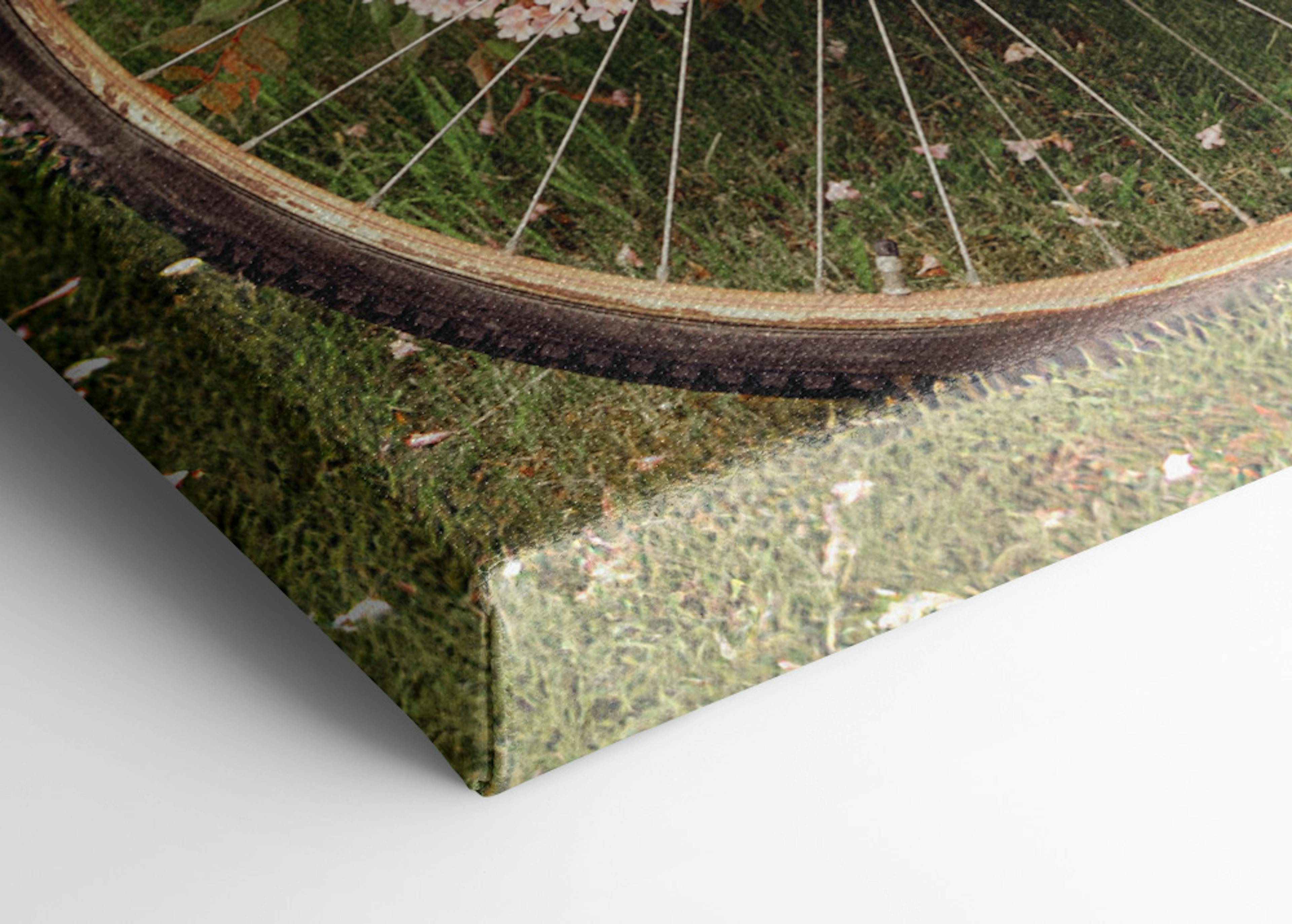 Bike in Blossom Stampa su Tela thumbnail