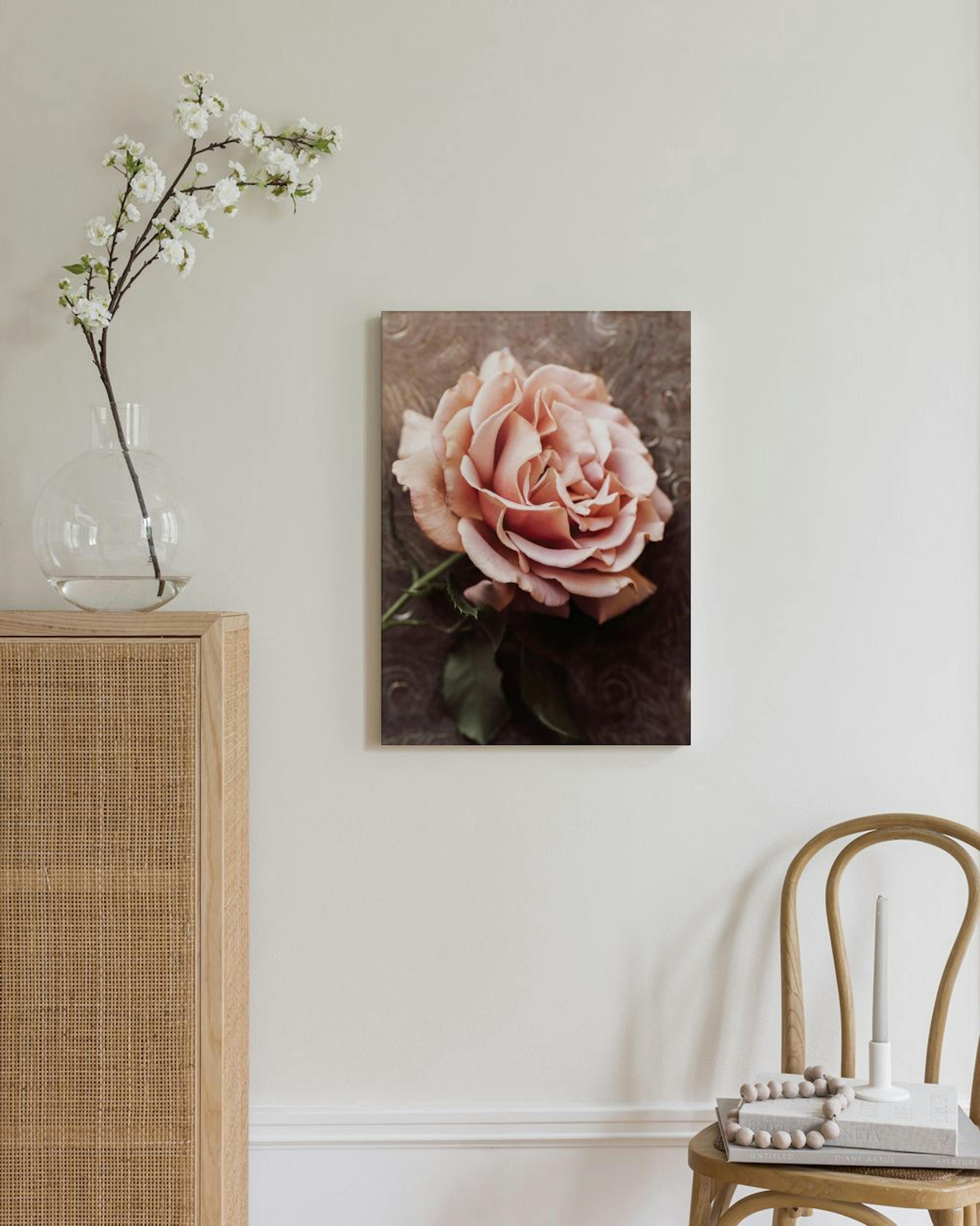 Stampa su Tela Rosa Rosa thumbnail