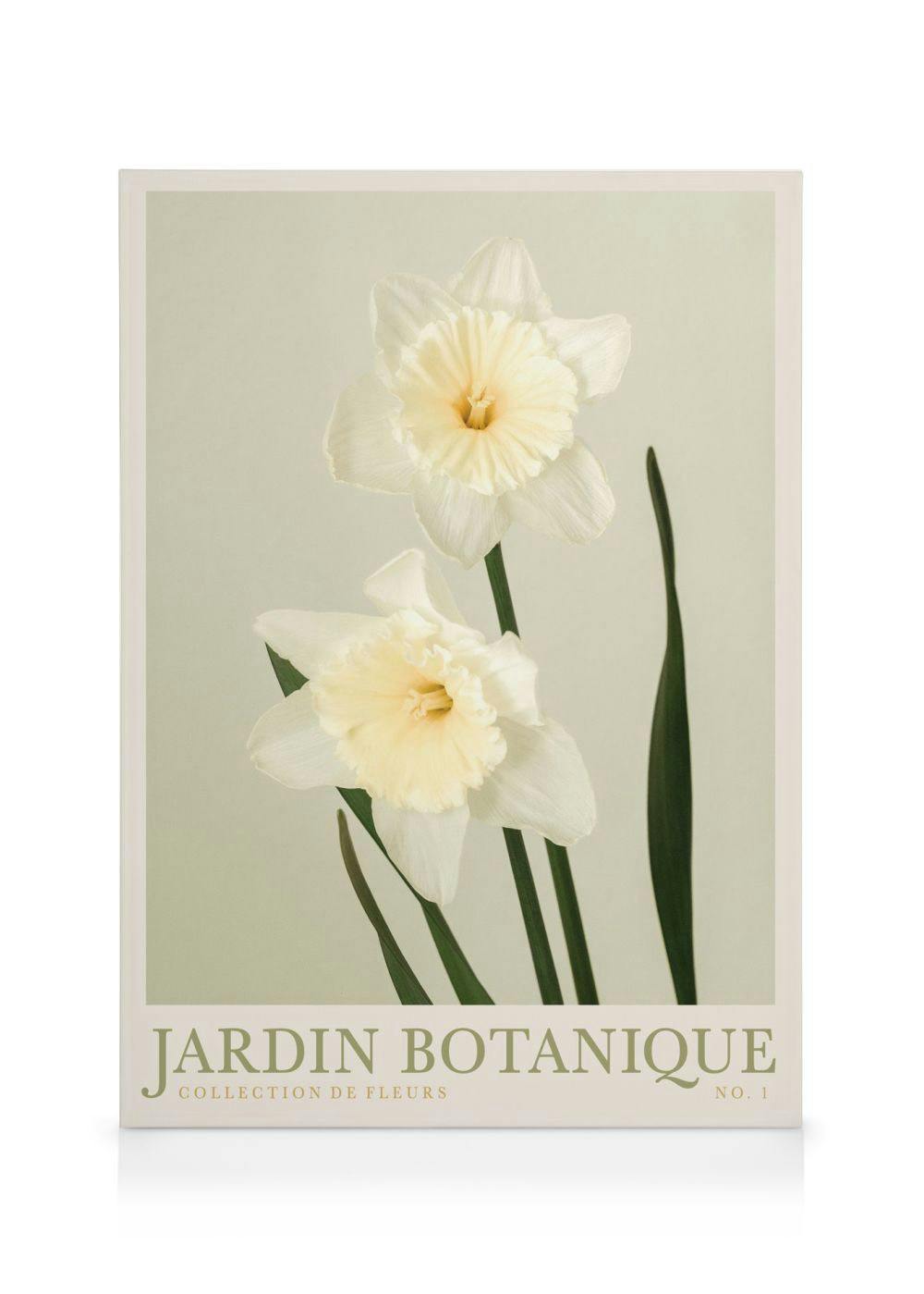 Jardin Botanique No1 Obraz na płótnie (50x70 cm - Czarna ramka) - Poster Store