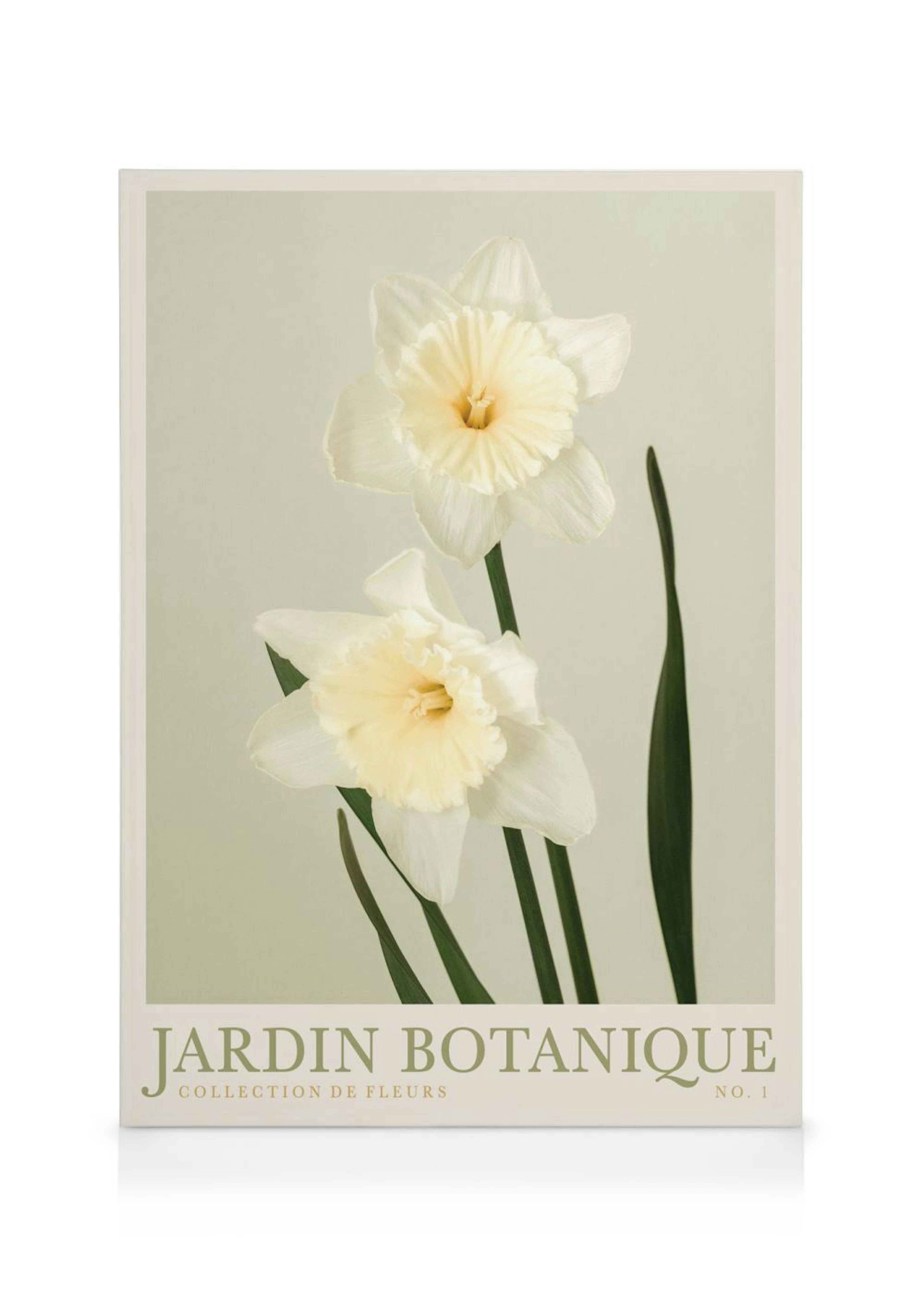Jardin Botanique No1 Leinwandbild 0