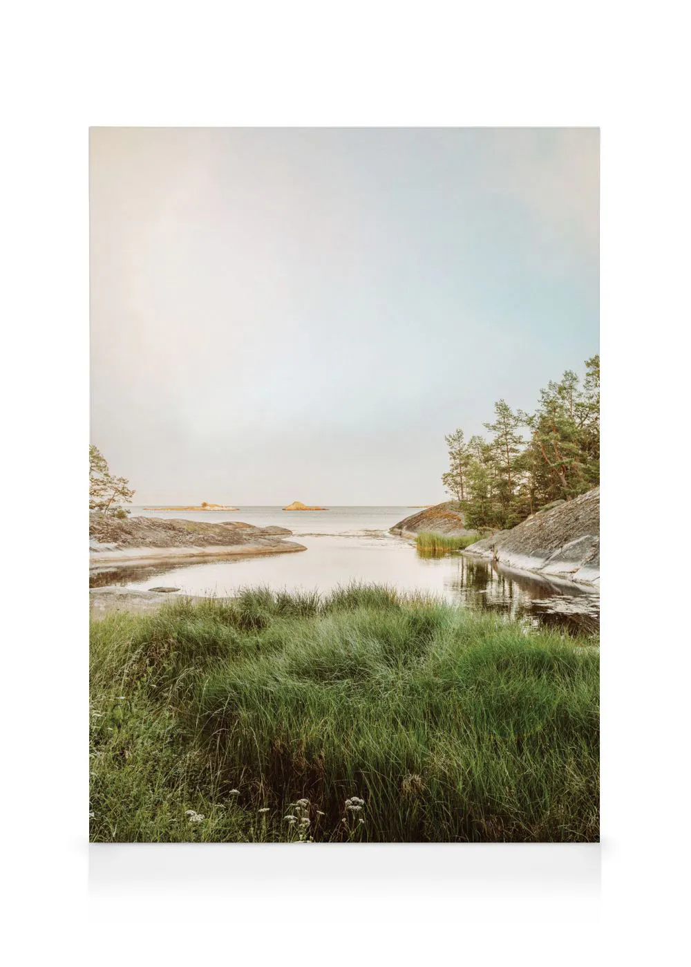 A serene canvas of a calm inlet with tall green grass in the foreground, surrounded by rocky shores and pine trees.