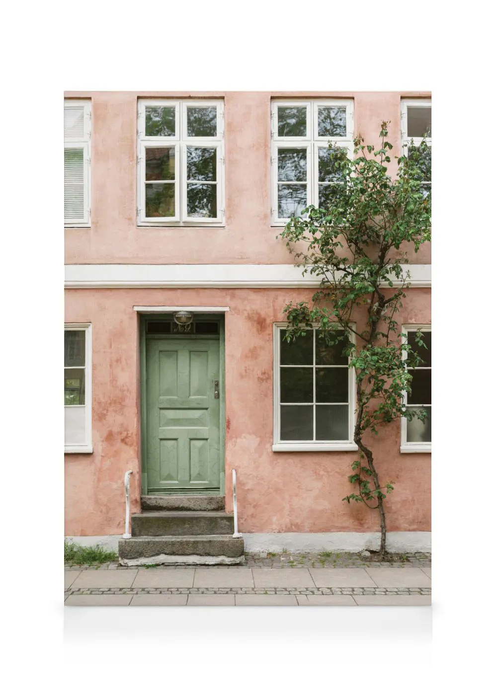 A charming canvas of a pink building with a green door, white windows, and a climbing tree.
