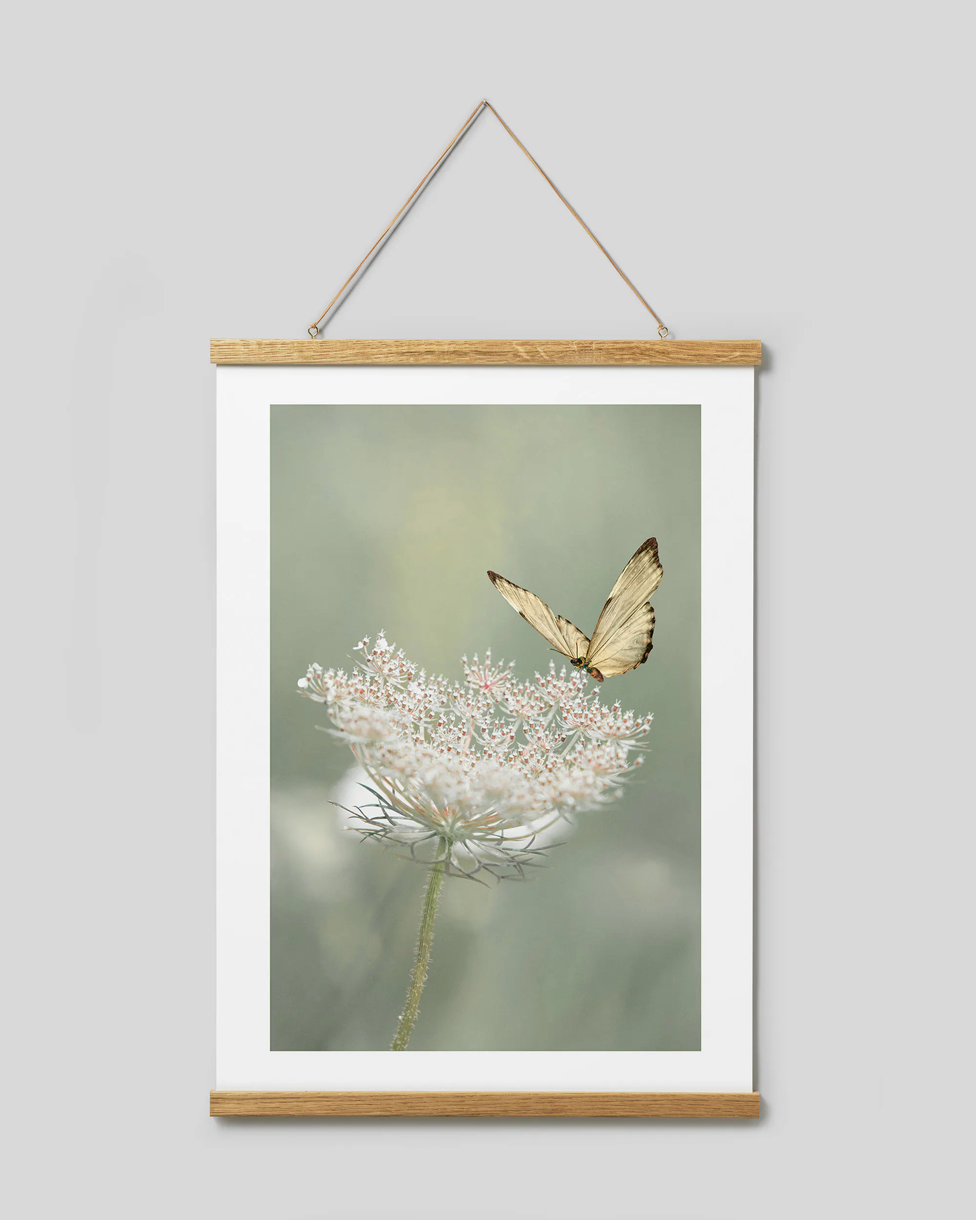 21 cm 30 cm 40 cm 50 cm Gancio magnetico per poster Cornice per ptura 21 cm 30 cm 40 cm 50 cm Gancio magnetico per poster Cornice per ptura
