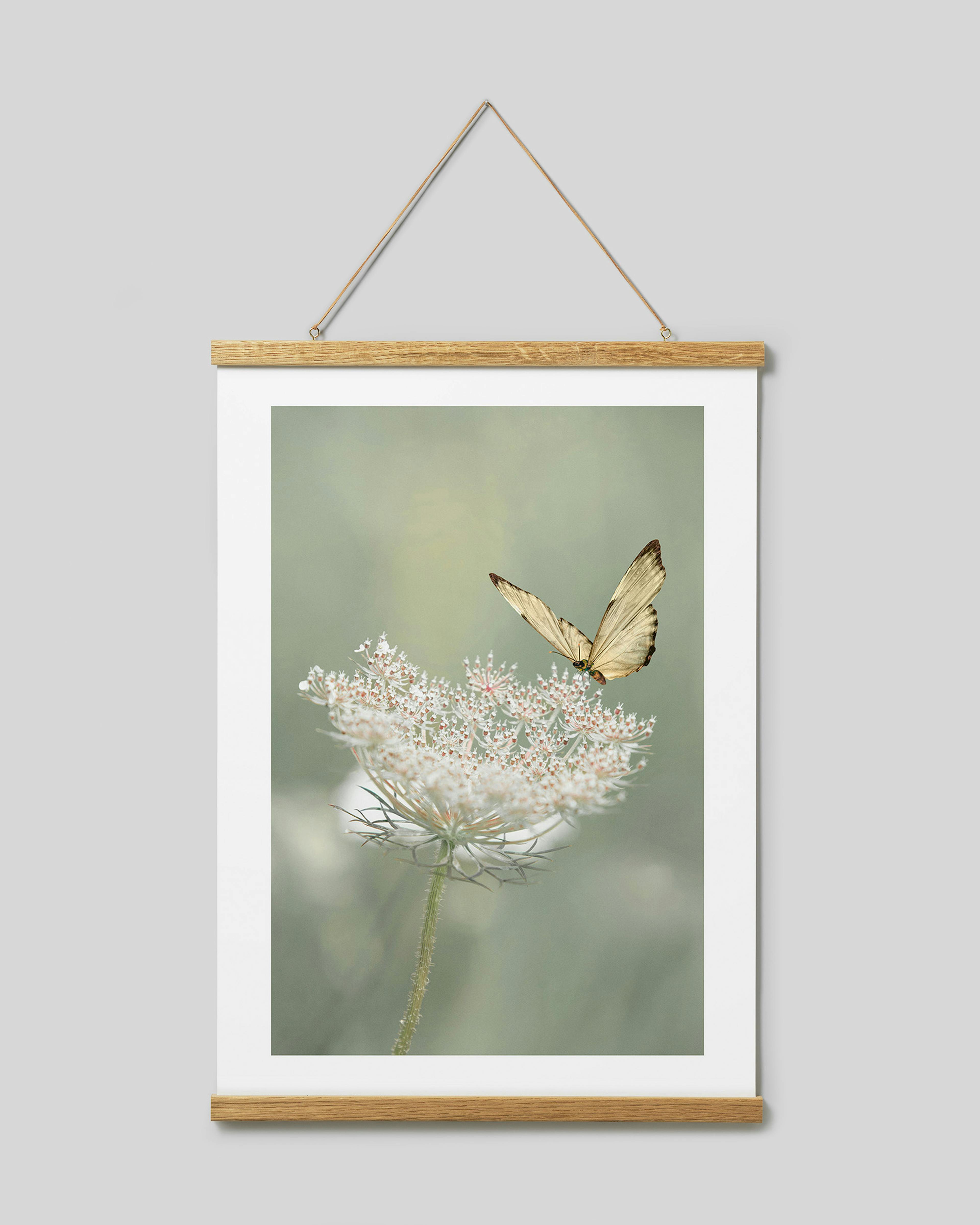 Poster hanger oak 51 cm, magnet fastener thumbnail