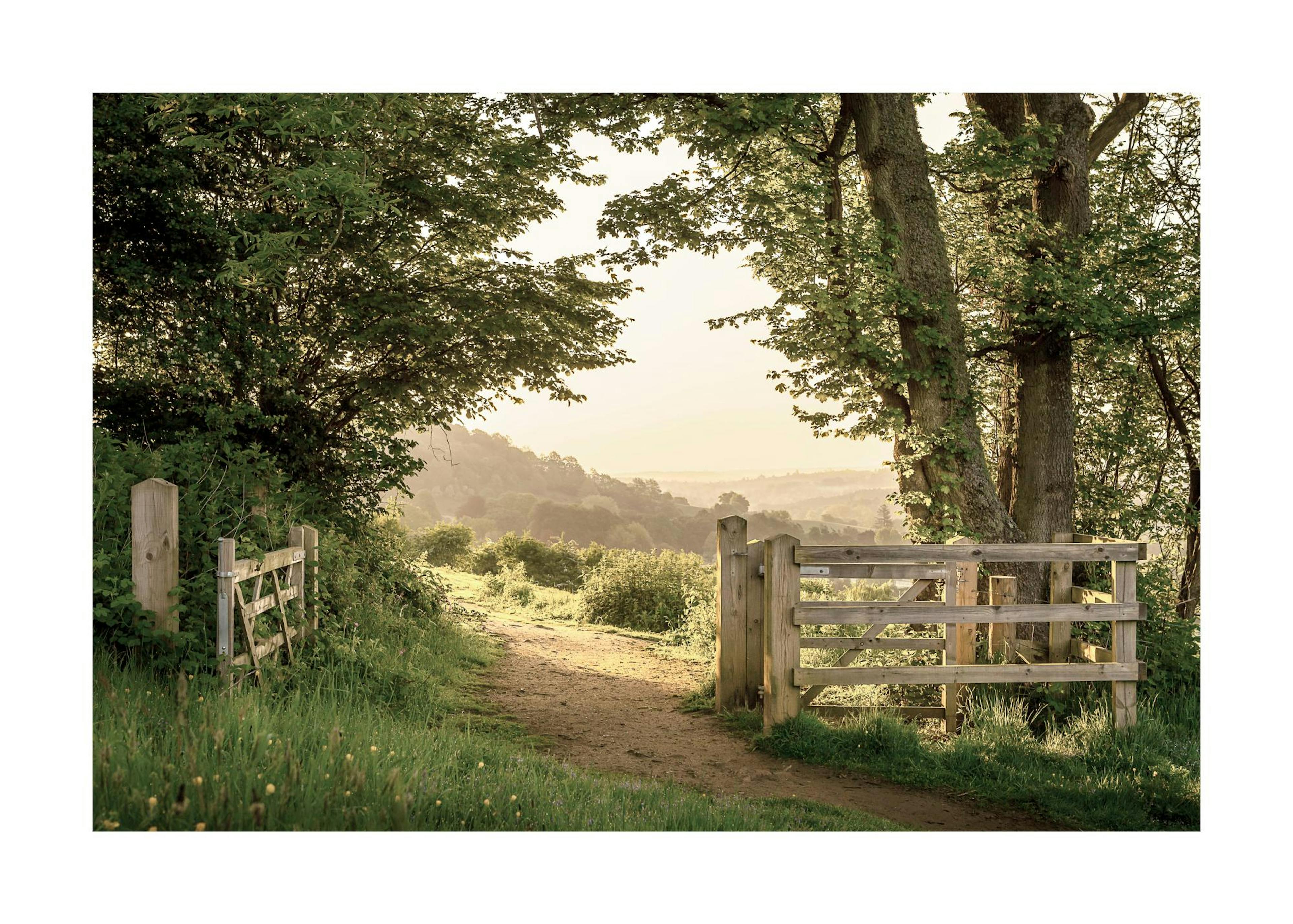 Summer Gate Poster 0